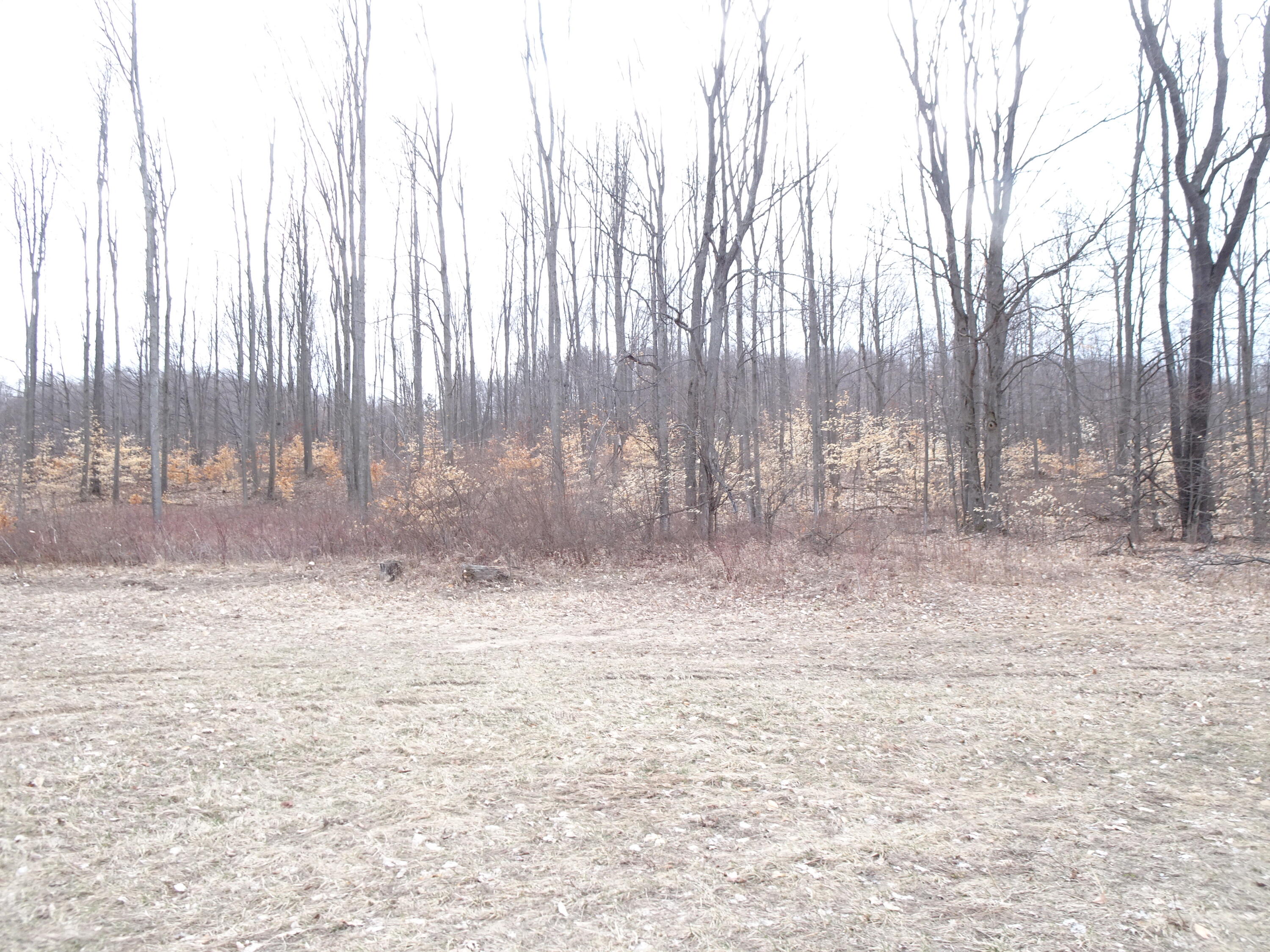 C Chief Road Property Photo