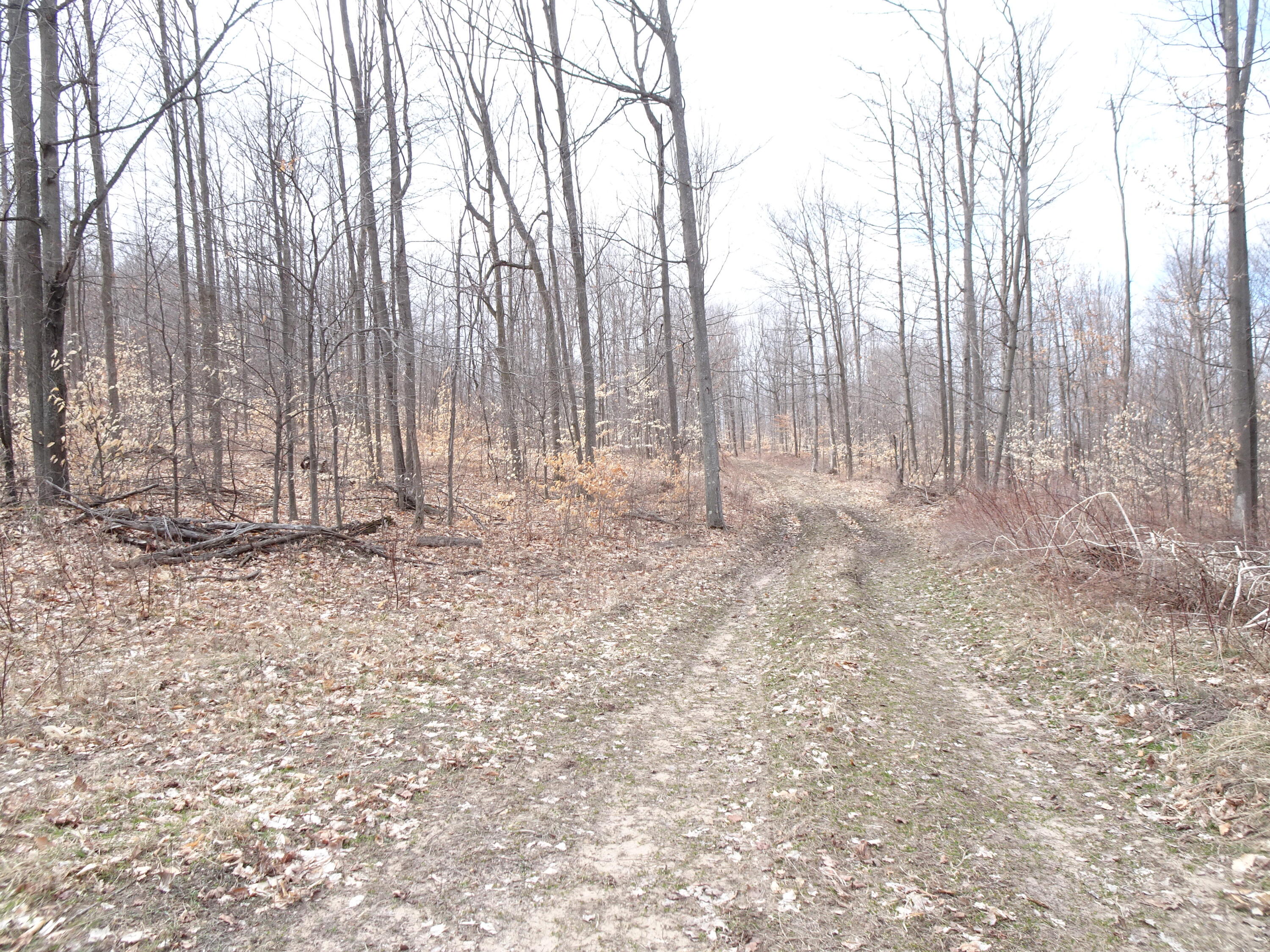 D Chief Road Property Photo