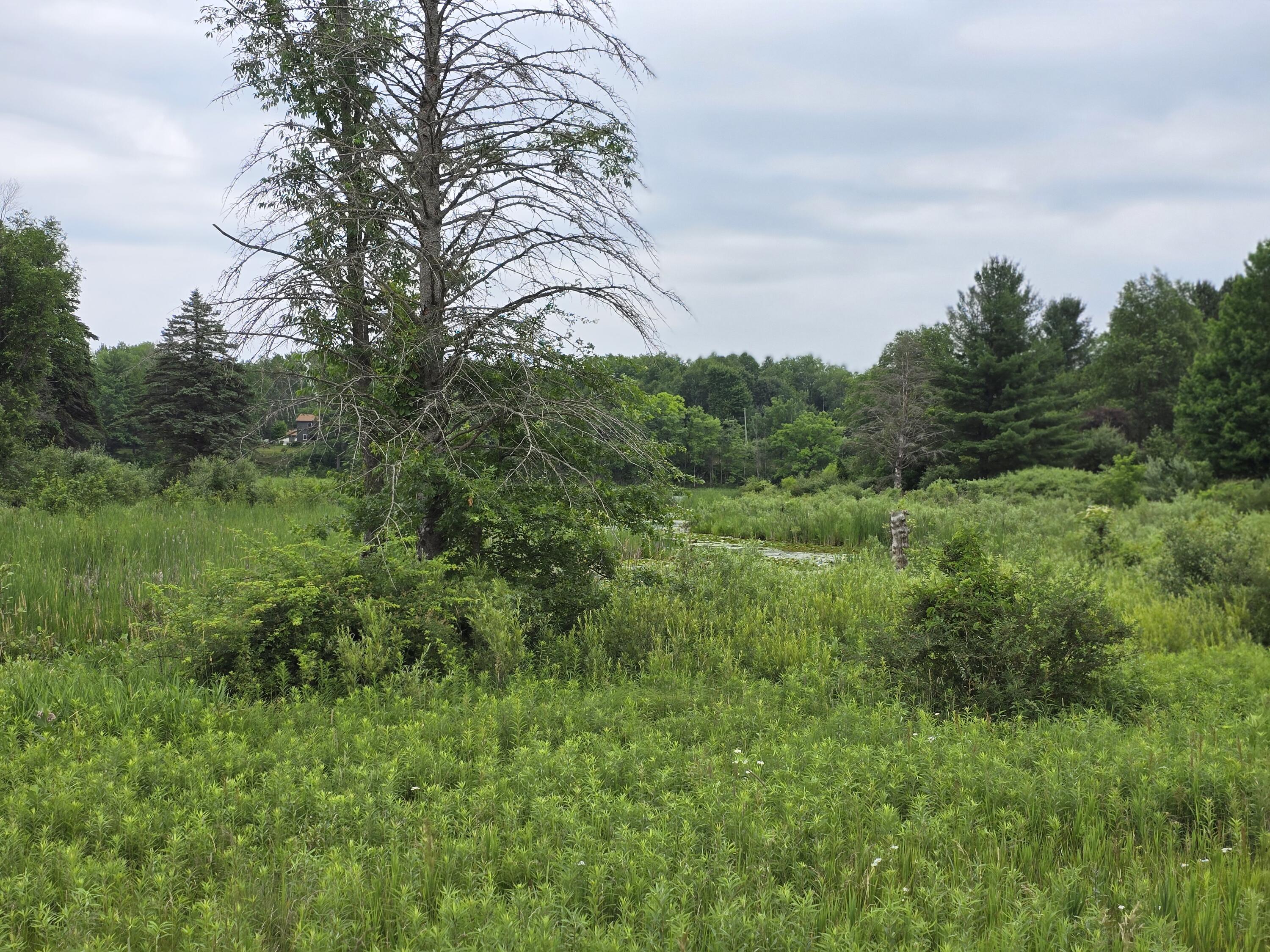 6172 Lake Road Property Photo