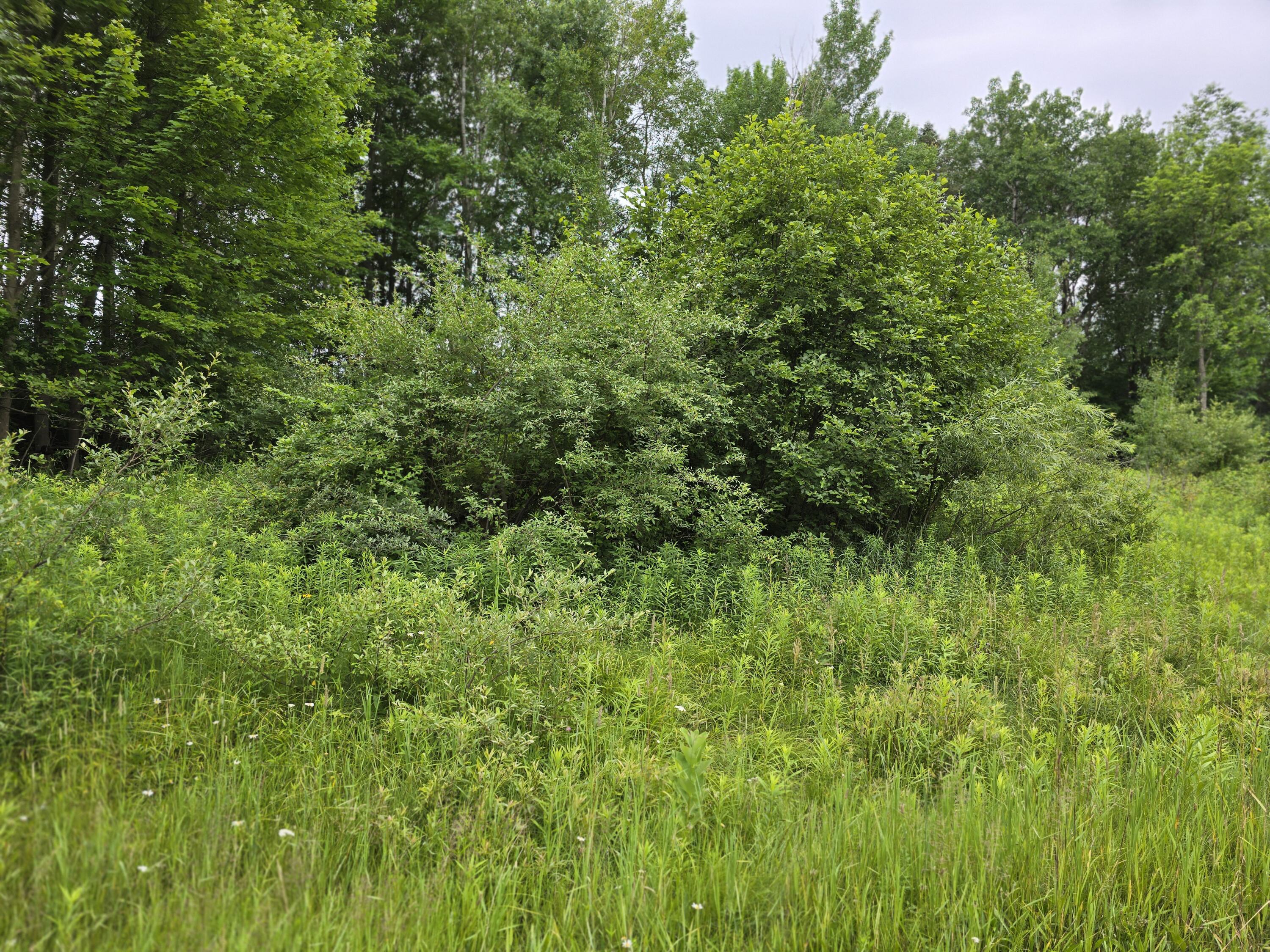 0 Lake Road Property Photo