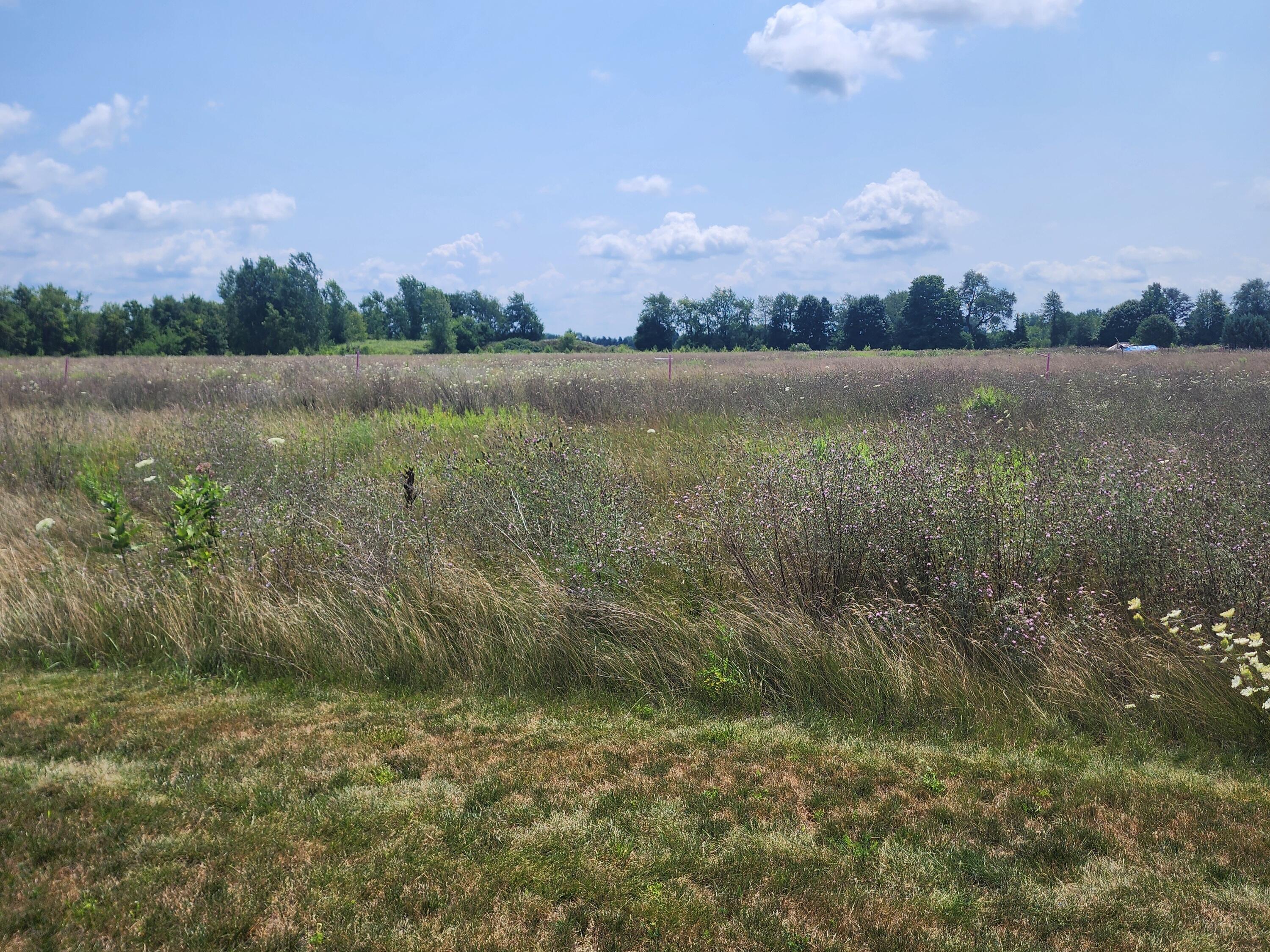 3615 S State Road Property Photo 1