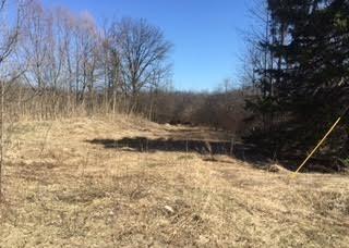 Vl Lake Lane Property Photo
