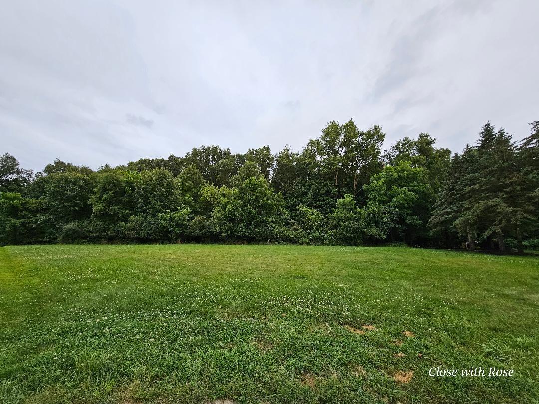 123 Castle Ridge Drive Property Photo 3