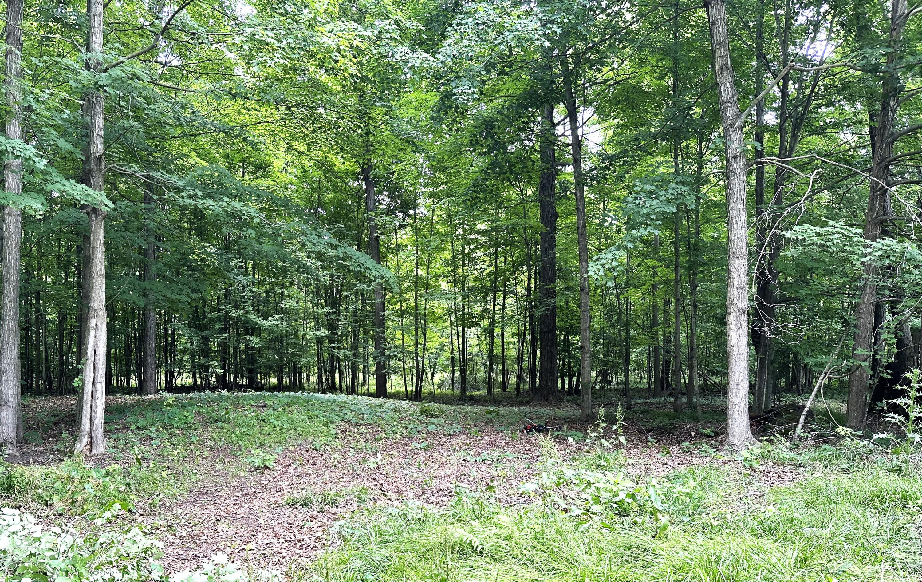 Lot 184 S E Shore Drive Property Photo