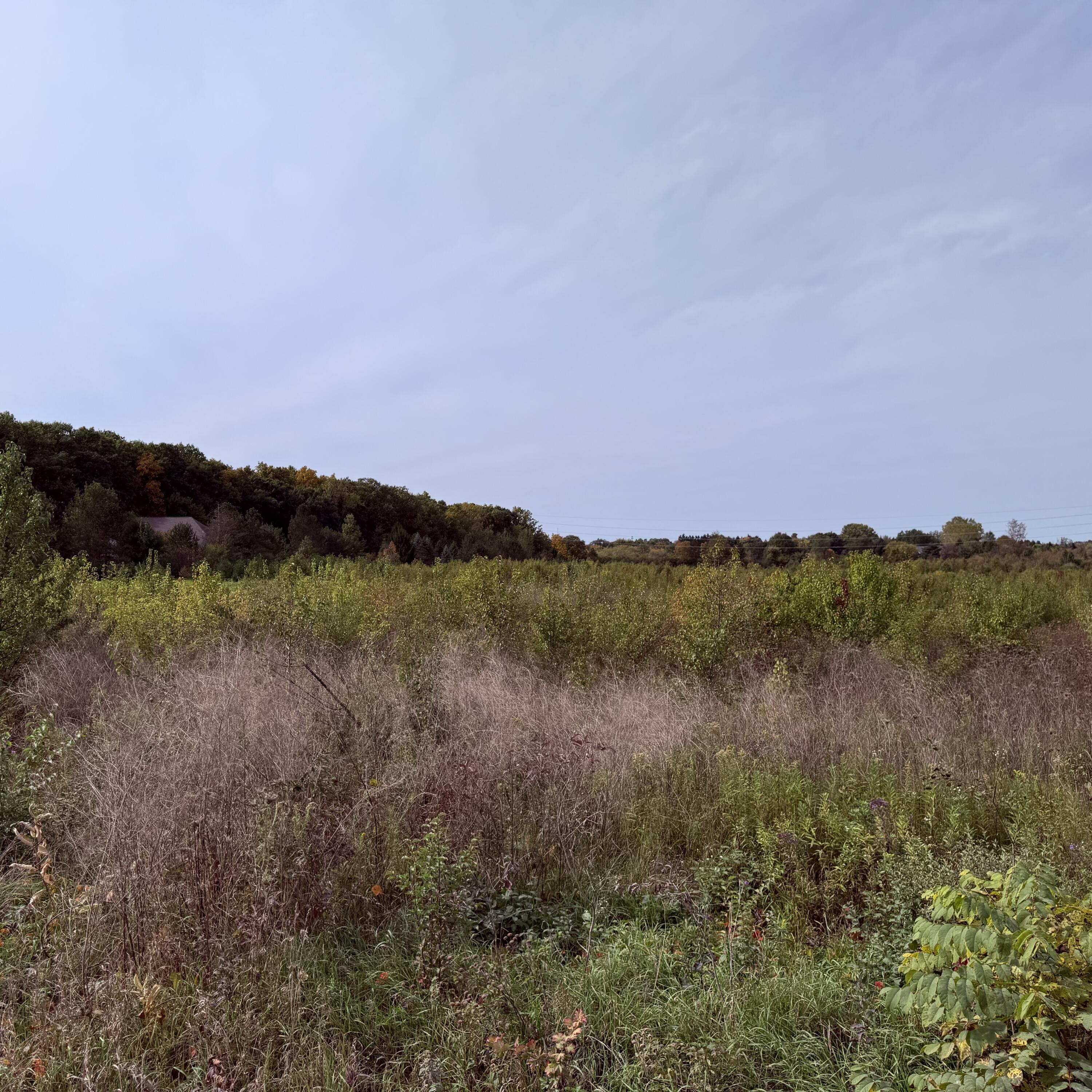 Lot 1 Munger Road Property Photo 1