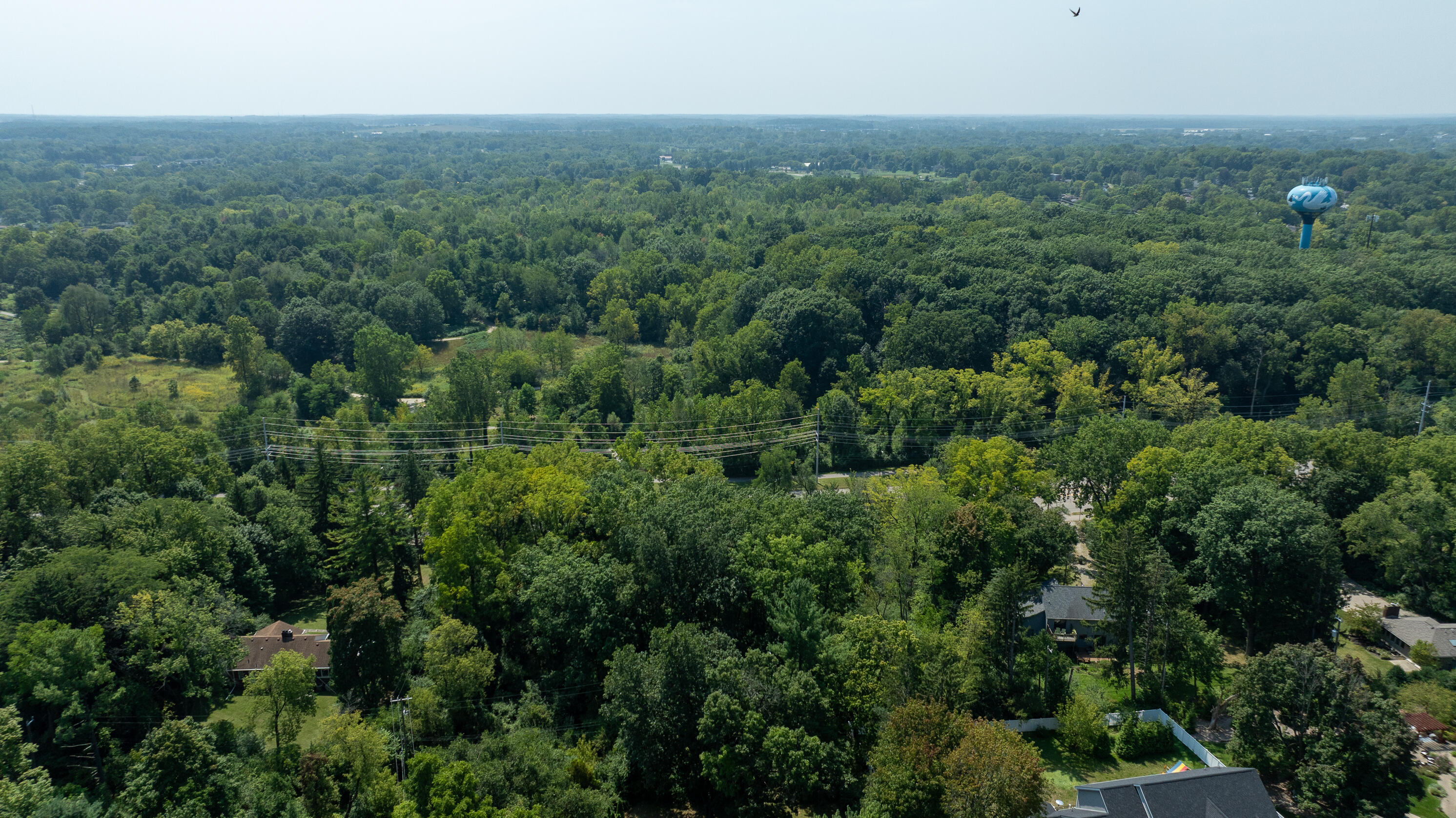 2731 Washtenaw Avenue Property Photo 7