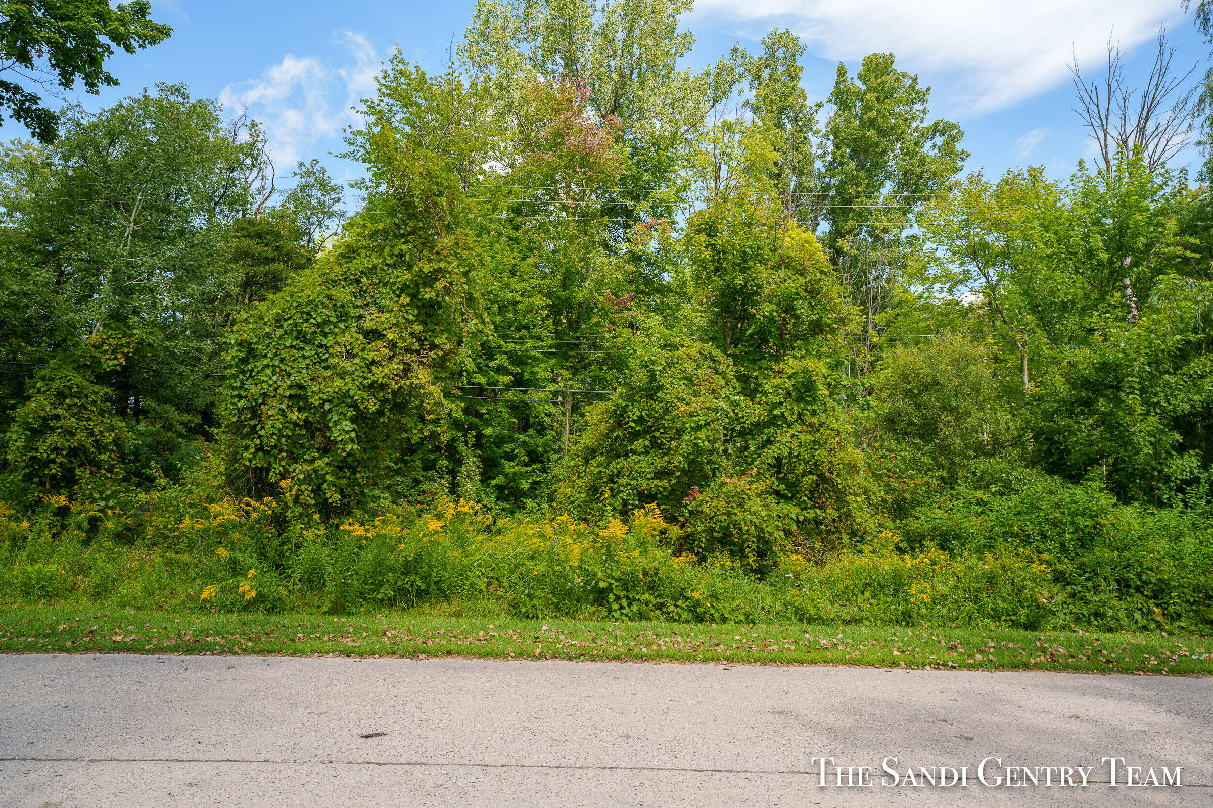 0 Cleveland Street Property Photo