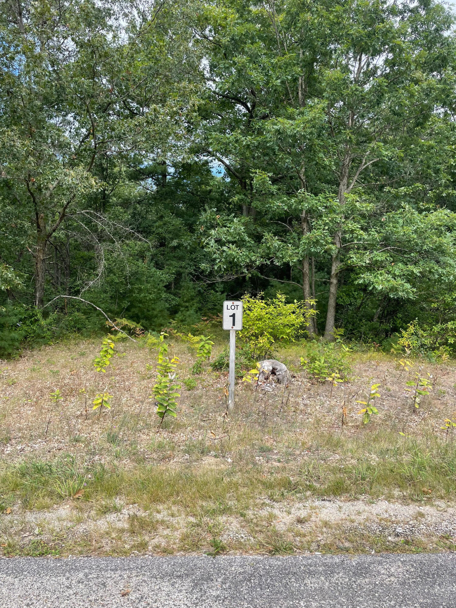 Lot 1 Renaissance Park Property Photo 1
