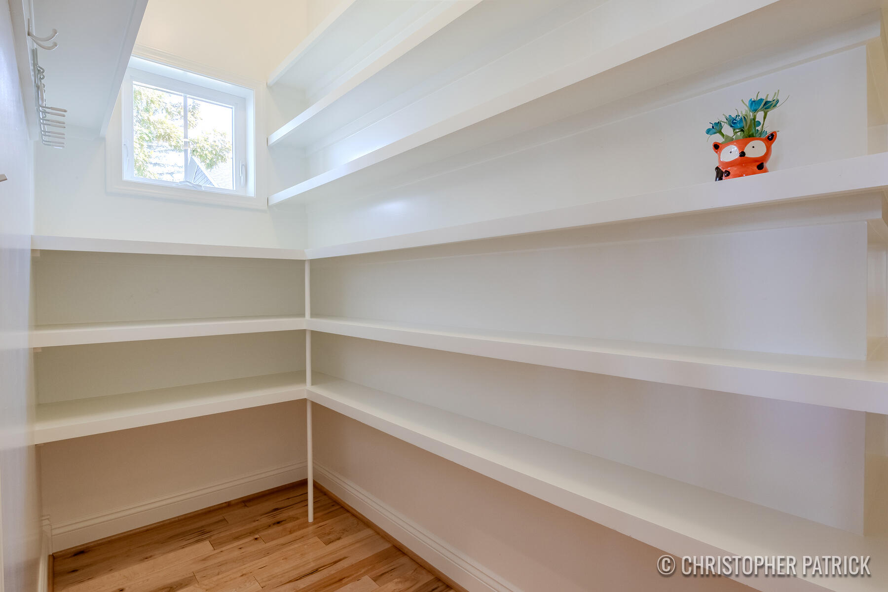 7217 Davies Drive Ne Property Photo 20