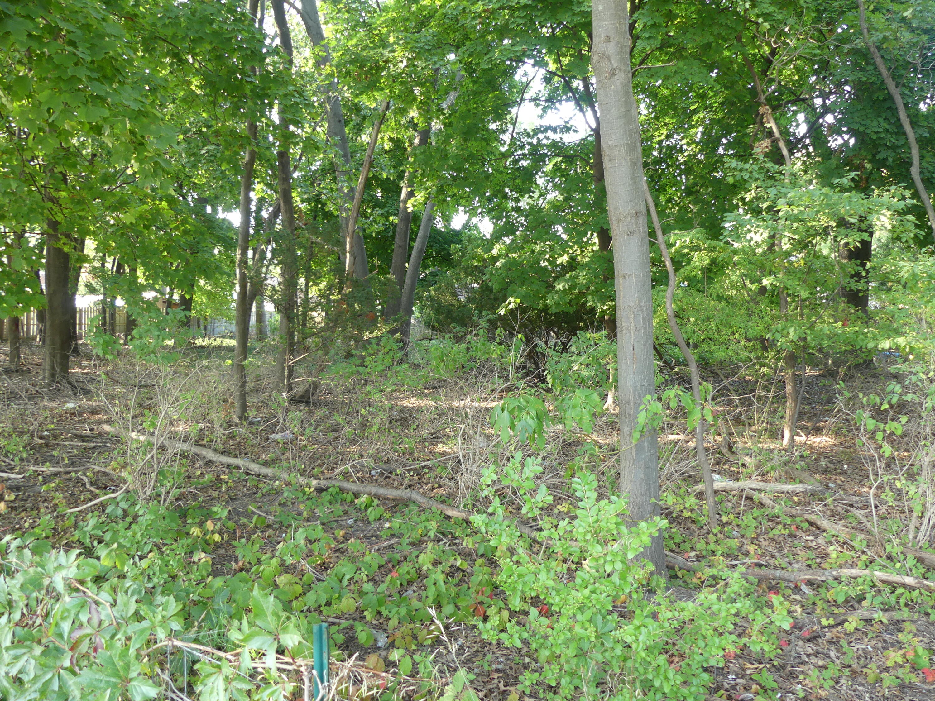 1374 W Sherman Boulevard Property Photo