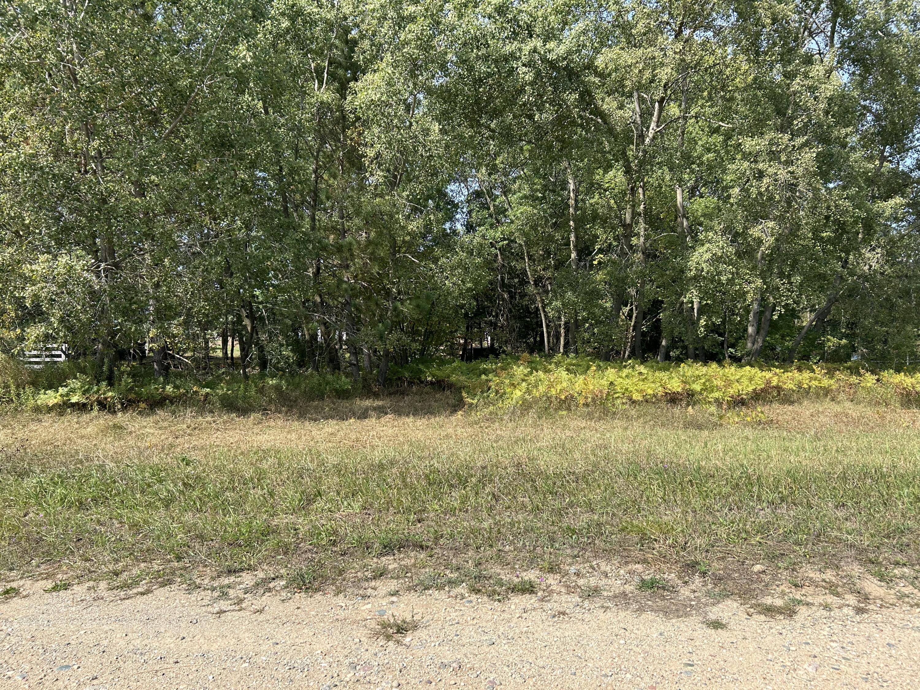 8730 125th Avenue Property Photo 1