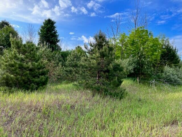 0 Linderman Road Property Photo 5