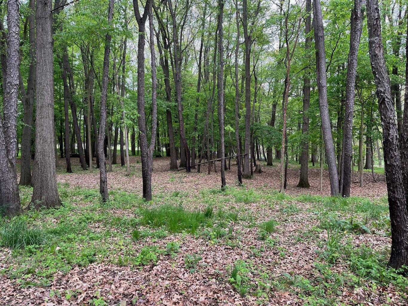 11217 S State Road Property Photo