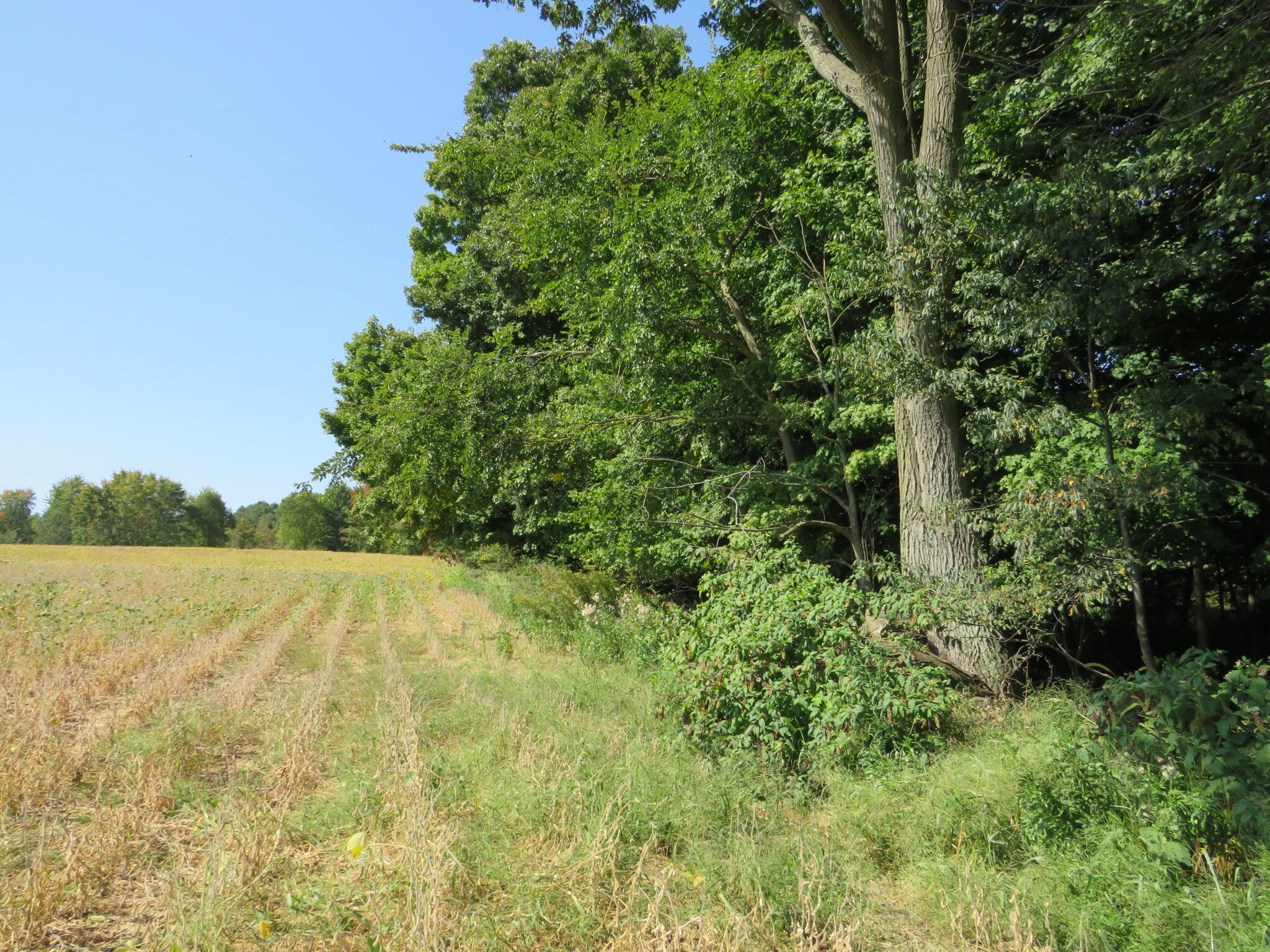 Vl Imlay City Road Property Photo 19