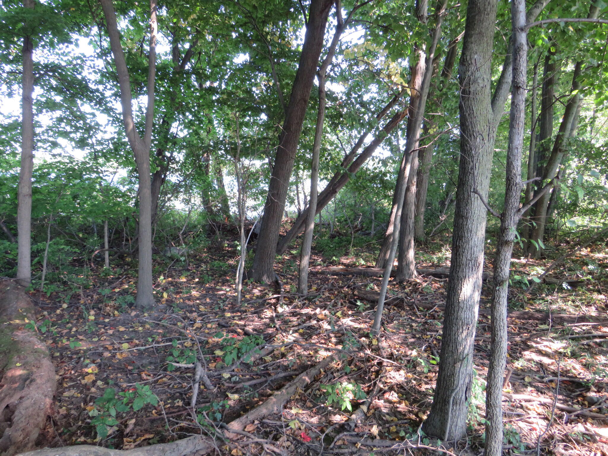 Vl Imlay City Road Property Photo 20