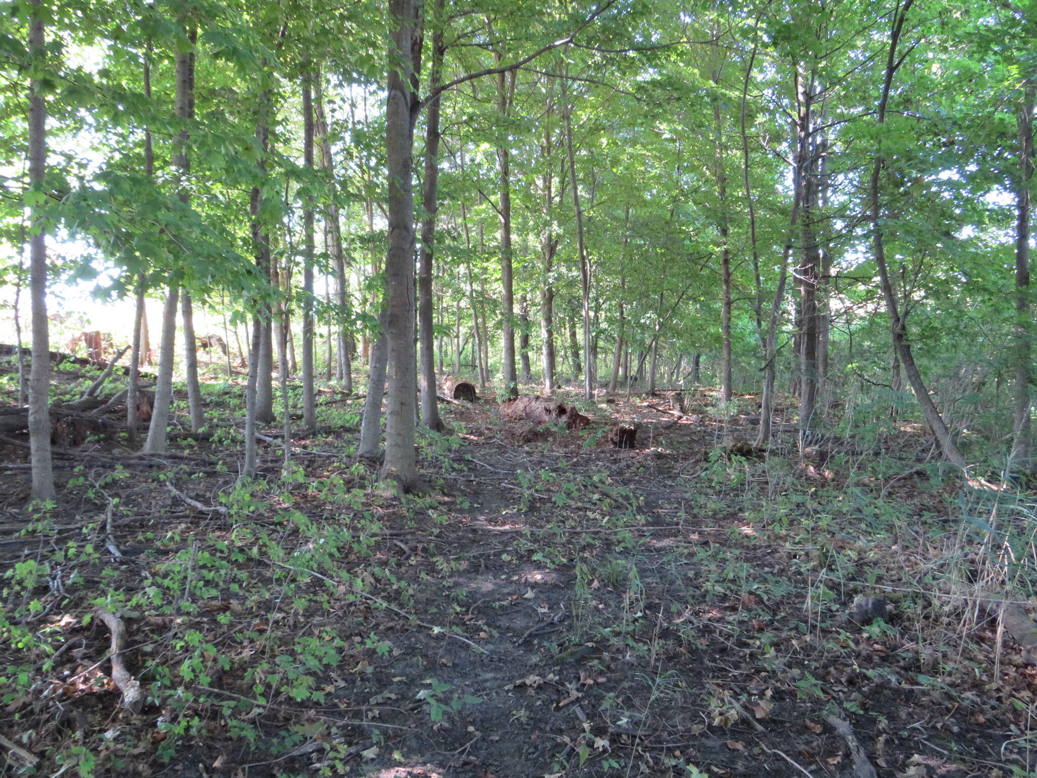 Vl Imlay City Road Property Photo 26