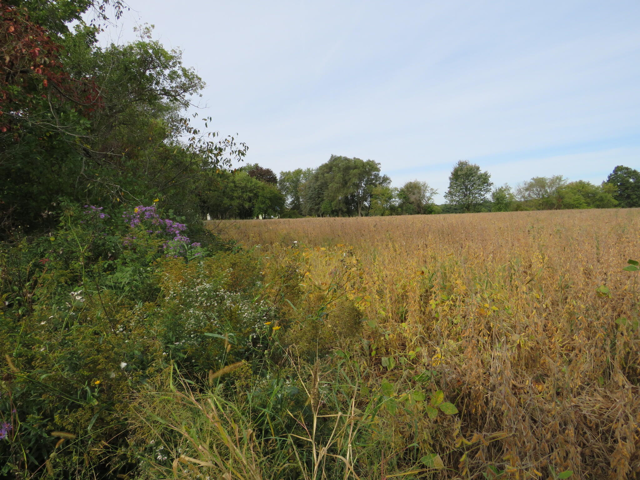Vl Imlay City Road Property Photo 30