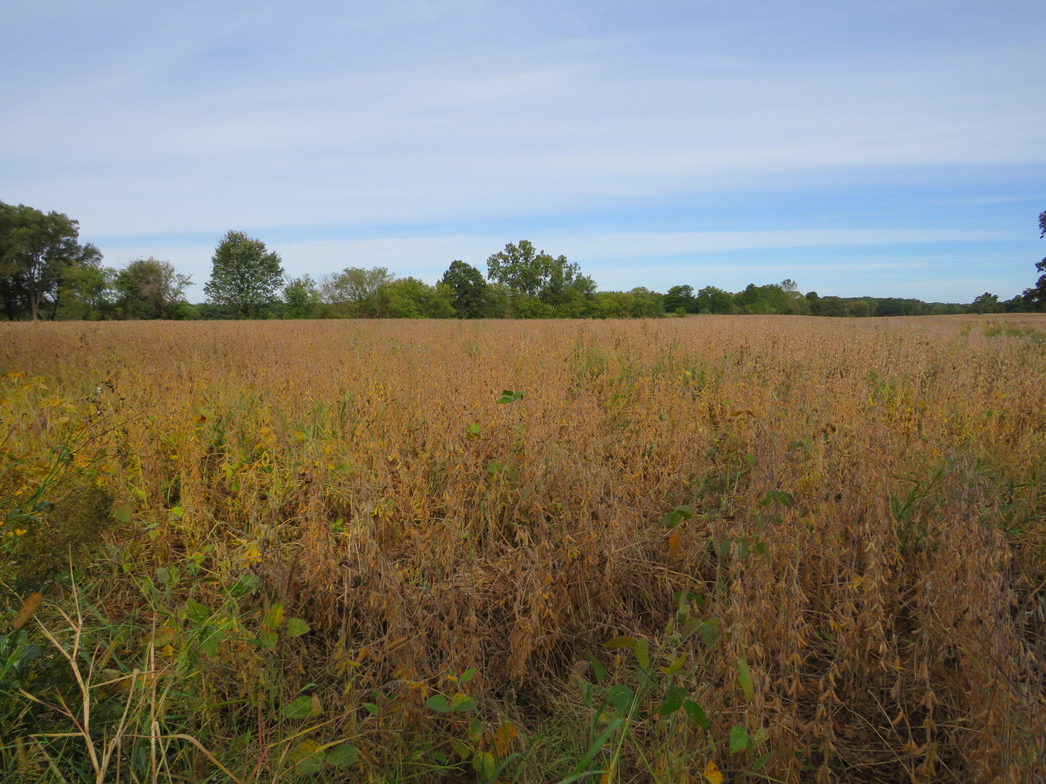 Vl Imlay City Road Property Photo 31