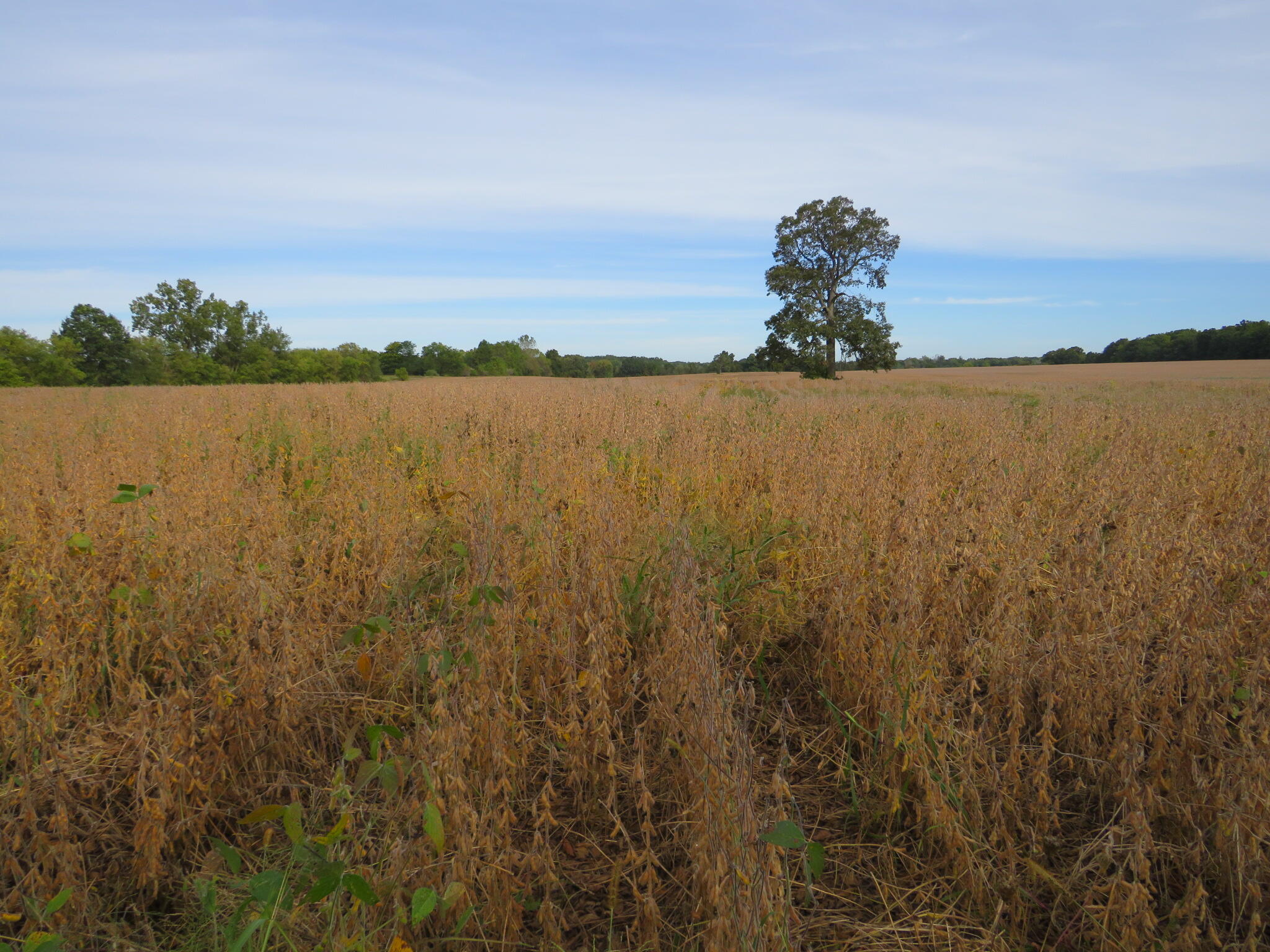 Vl Imlay City Road Property Photo 32