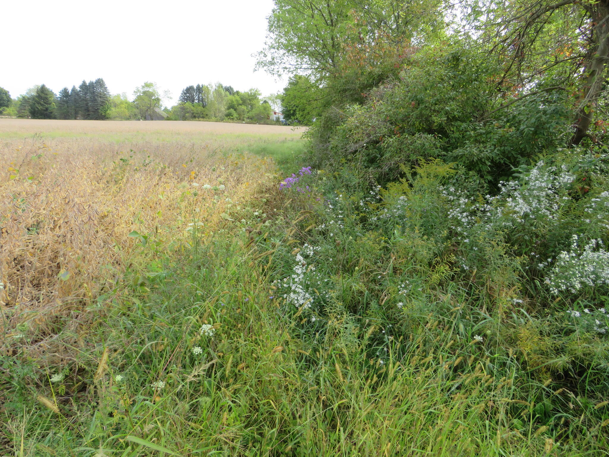 Vl Imlay City Road Property Photo 33