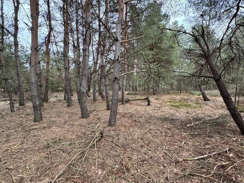 6526 Cedar Trace Property Photo 1