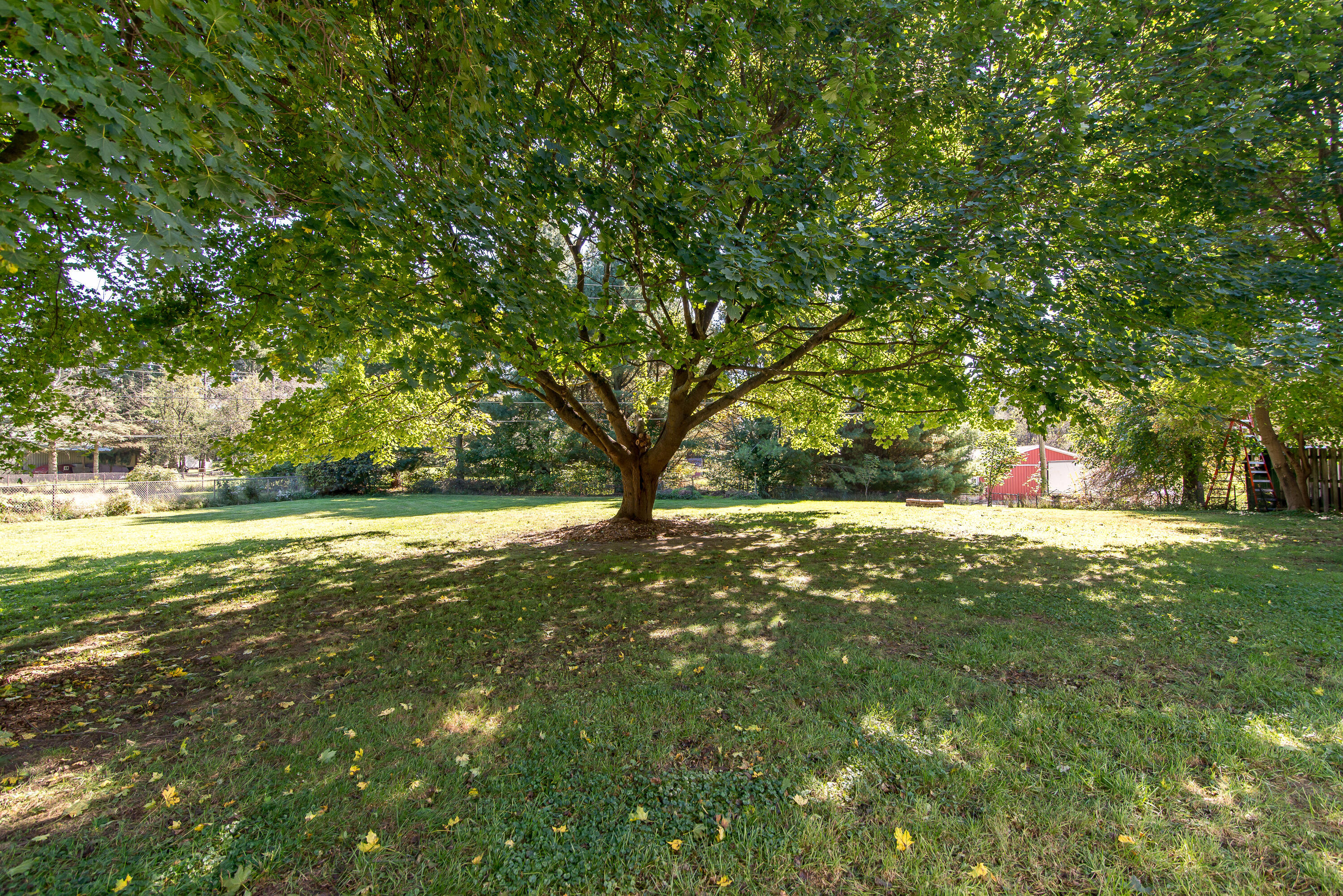 5146 Pontiac Trail Property Photo 33