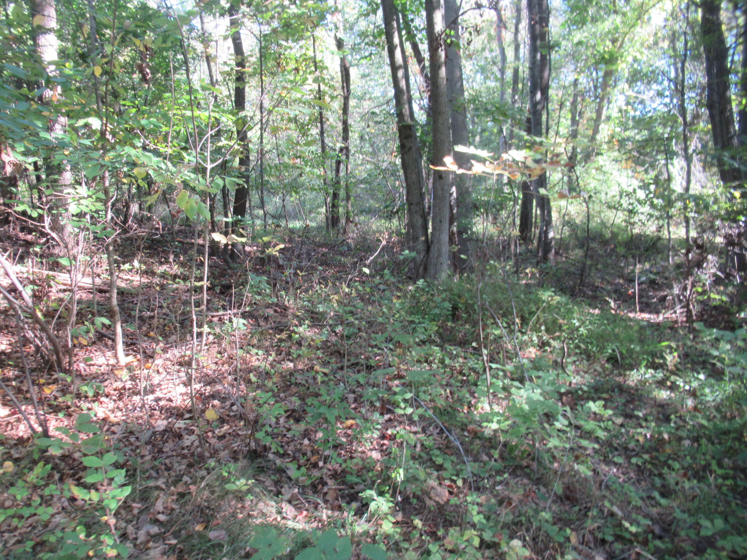 17538 Paradise Lake Road Property Photo