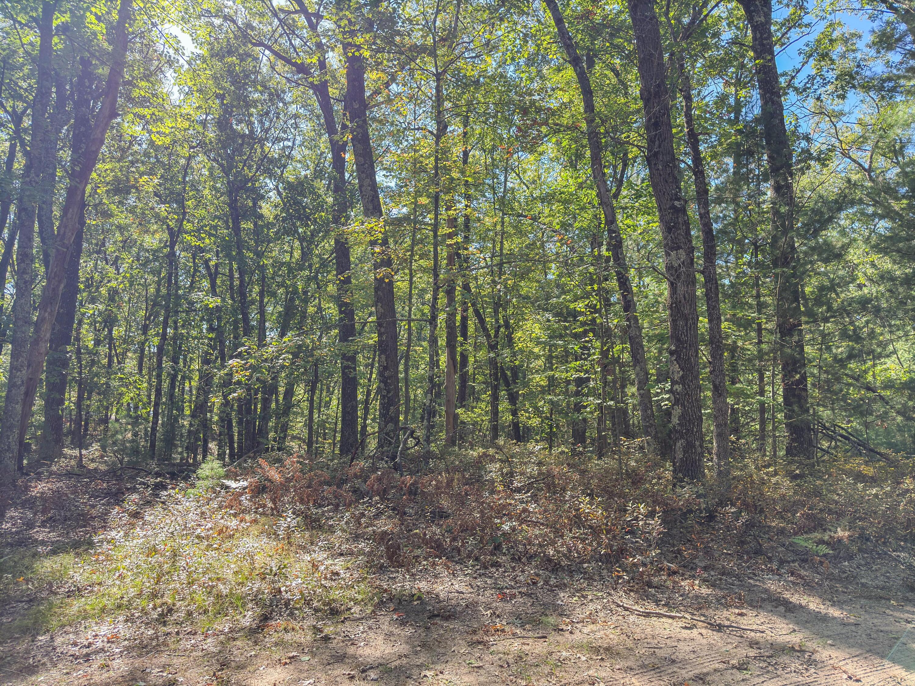 0 W Orchard Lake Drive Property Photo 1