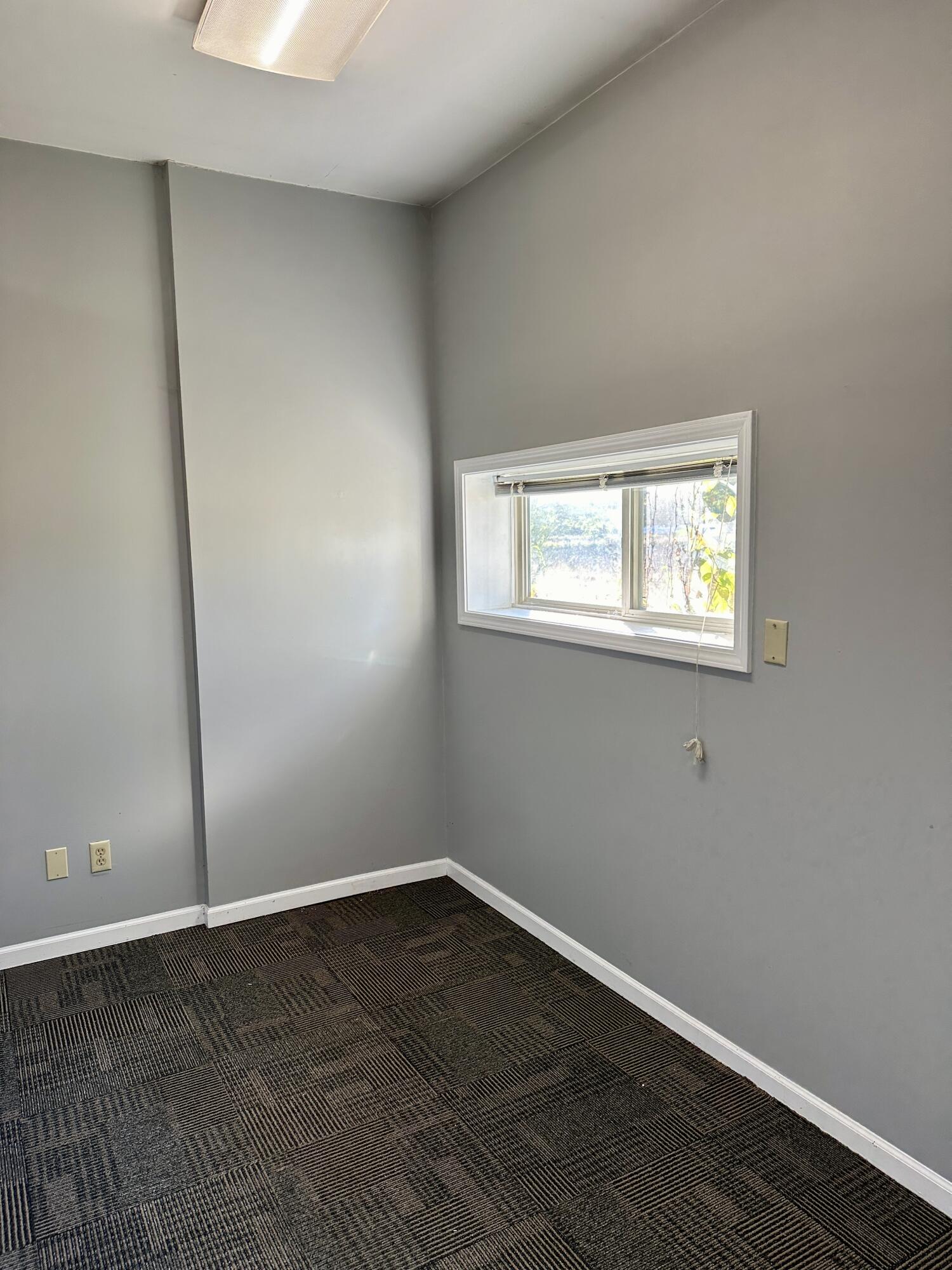 4333 Red Arrow Highway B Property Photo 21