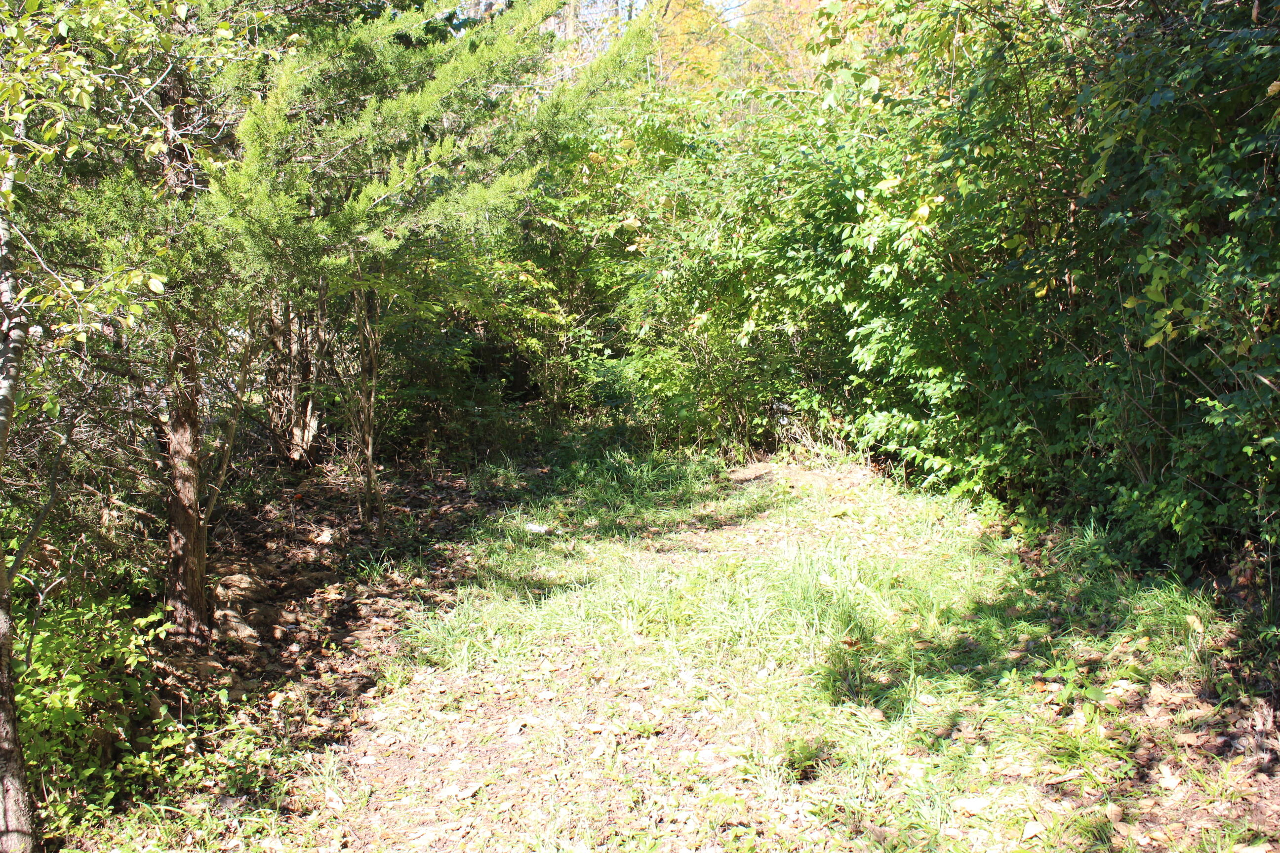 Vacant E Clark Road Property Photo 1