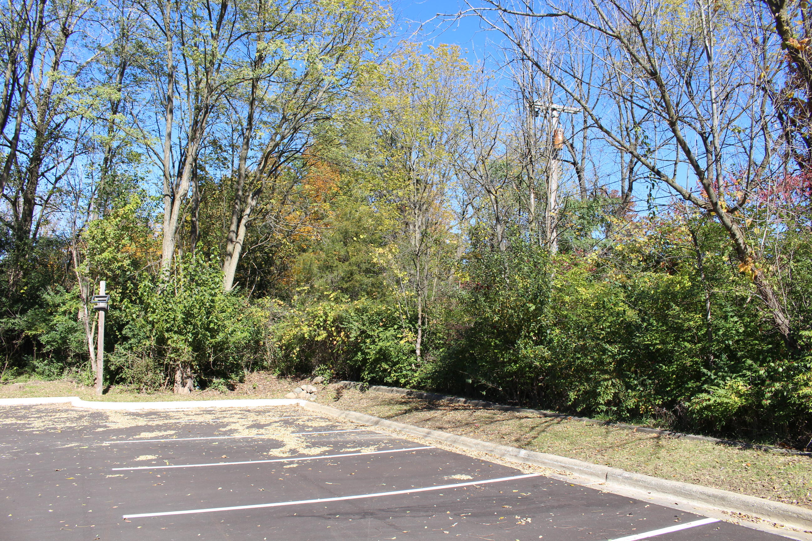 Vacant E Clark Road Property Photo 5