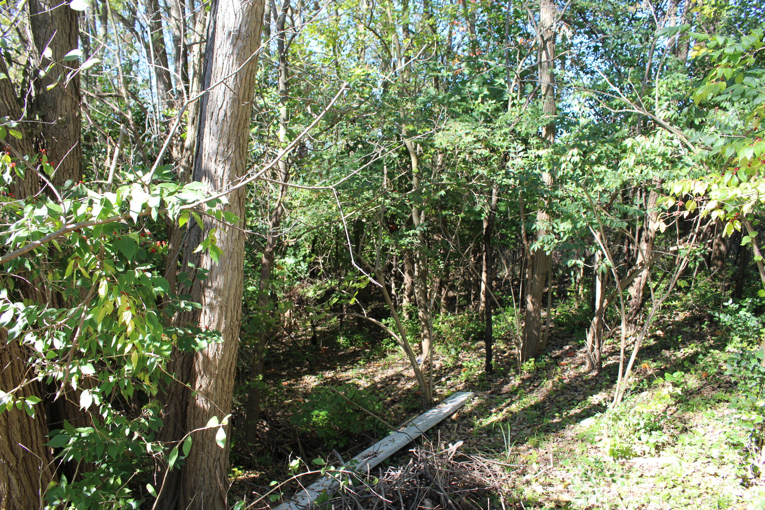Vacant E Clark Road Property Photo 8