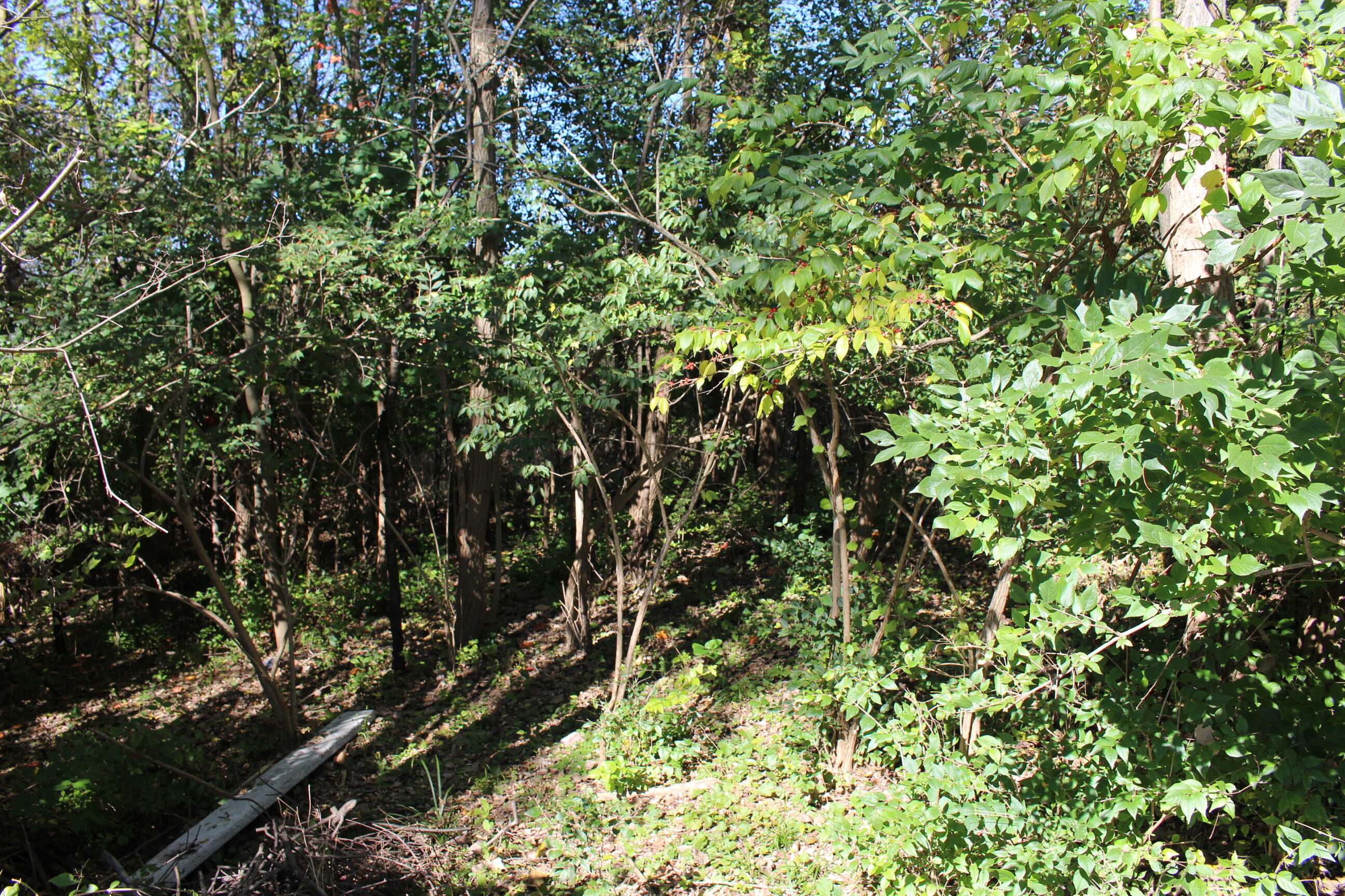 Vacant E Clark Road Property Photo 9