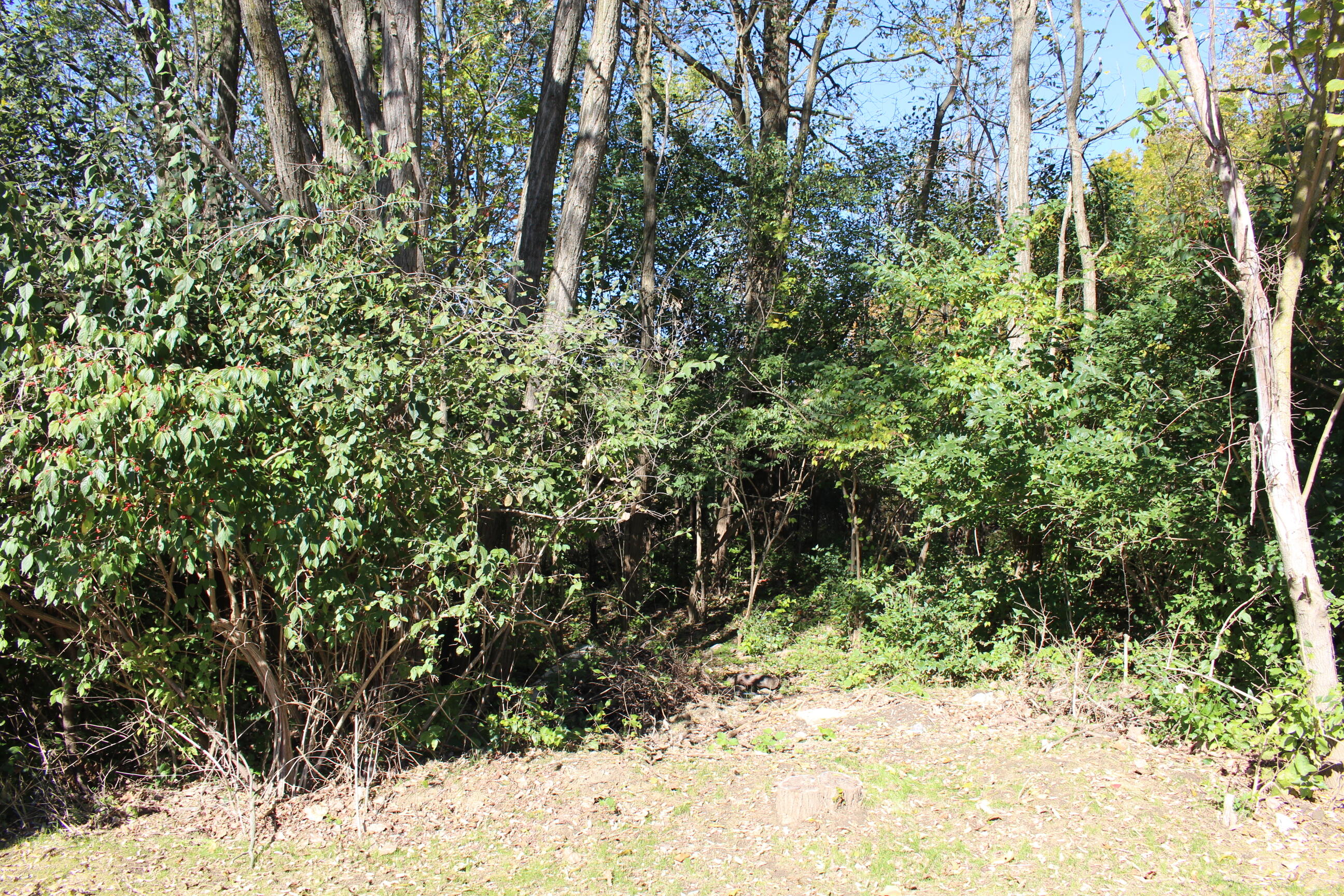Vacant E Clark Road Property Photo 10