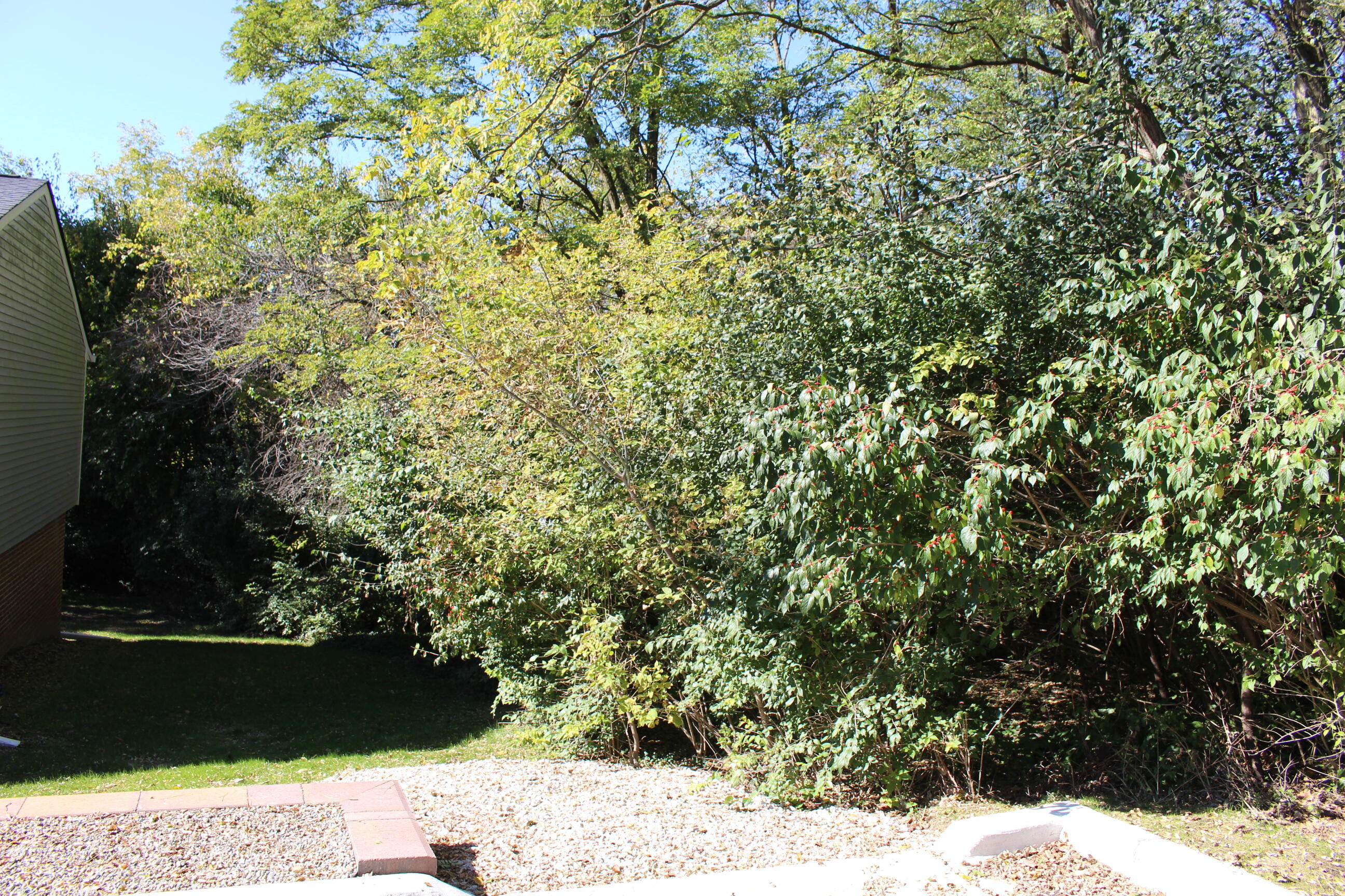 Vacant E Clark Road Property Photo 11