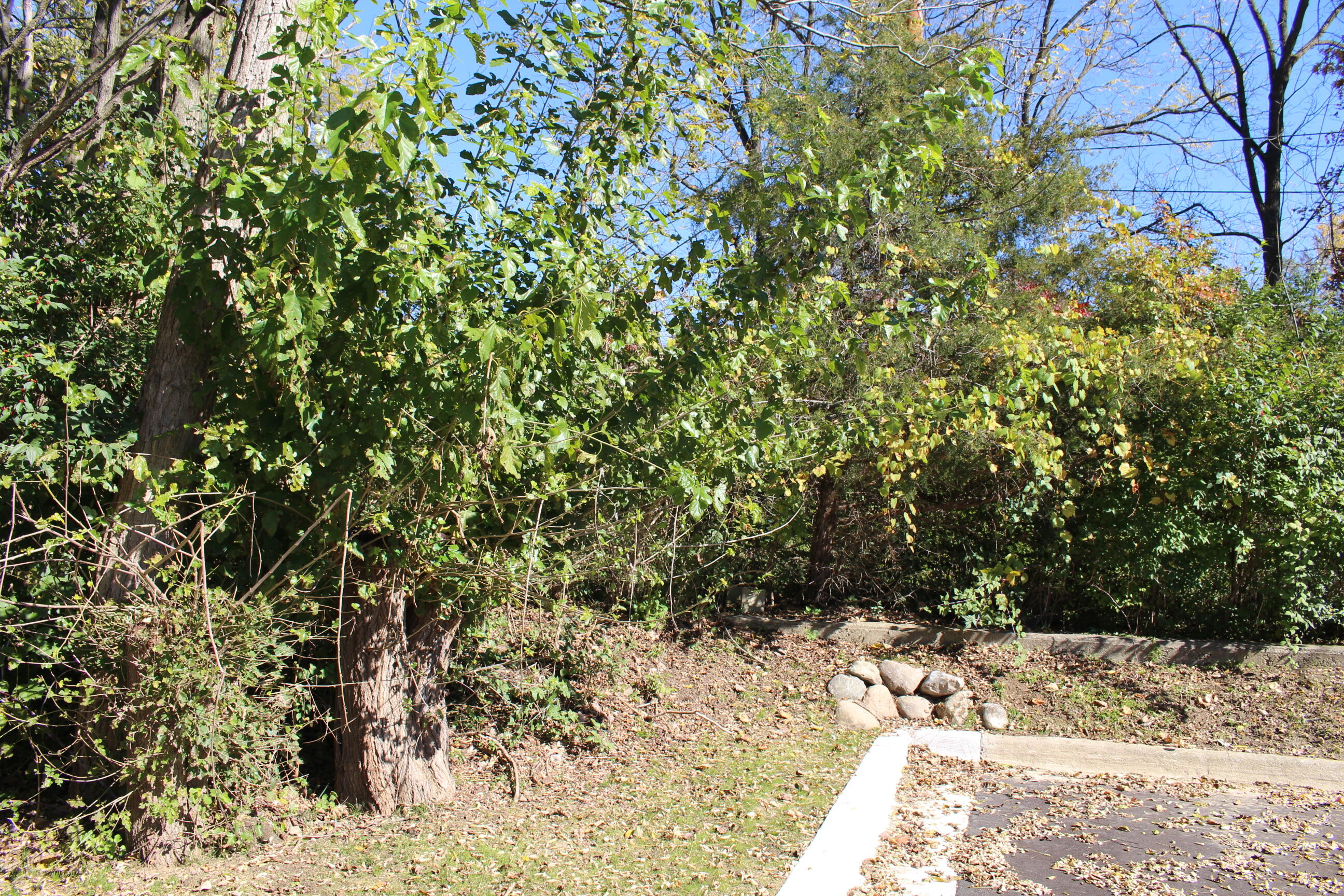 Vacant E Clark Road Property Photo 12