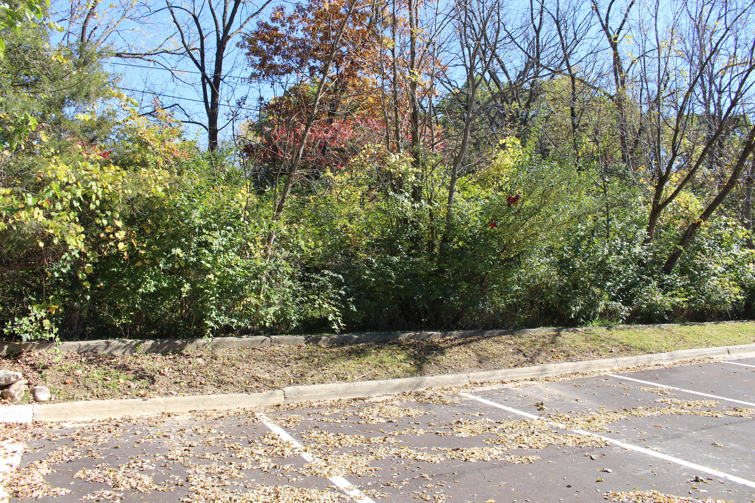 Vacant E Clark Road Property Photo 13