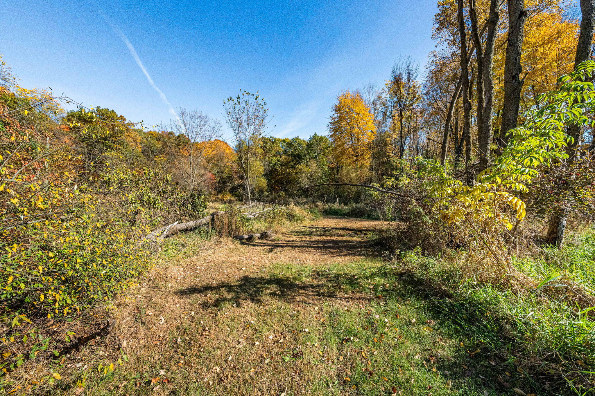 60070 Pemberton Road Property Photo 34