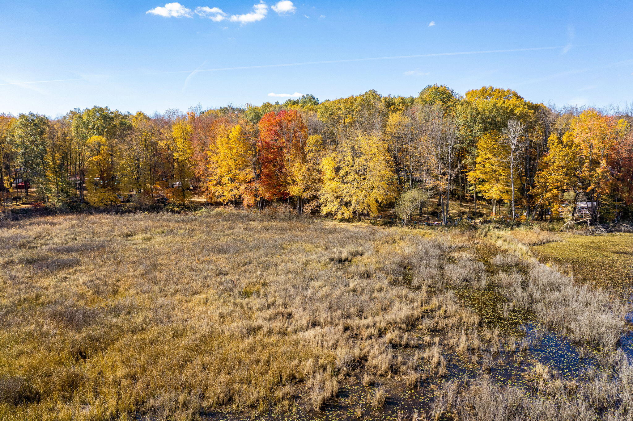 60070 Pemberton Road Property Photo 44