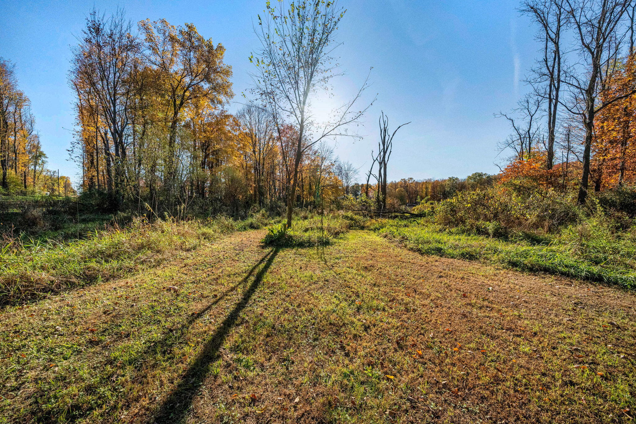 60070 Pemberton Road Property Photo 54