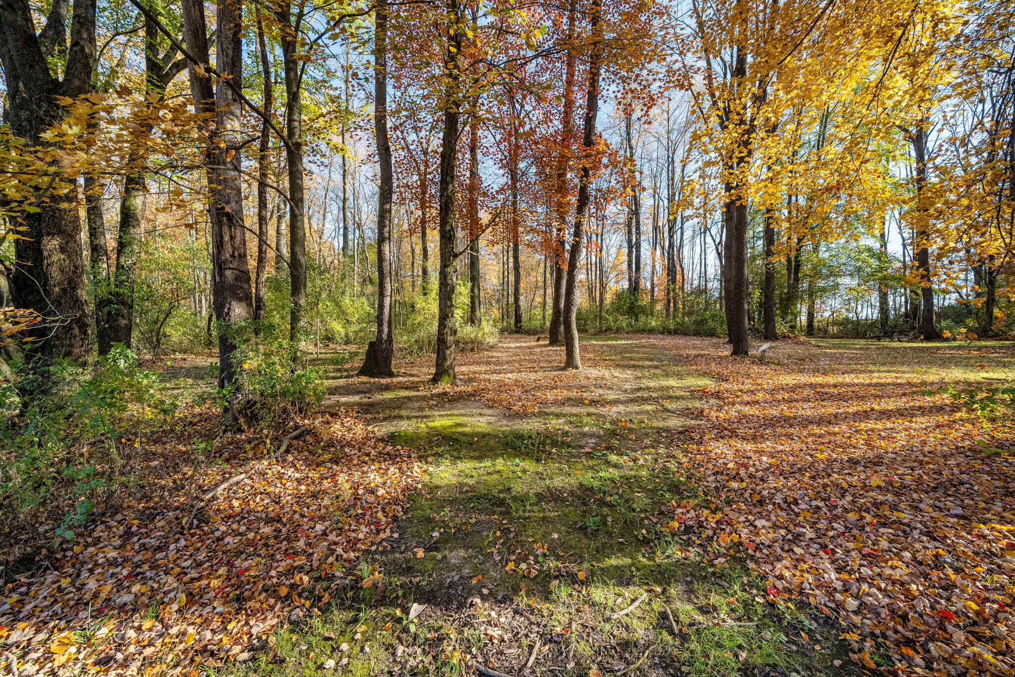 60070 Pemberton Road Property Photo 56