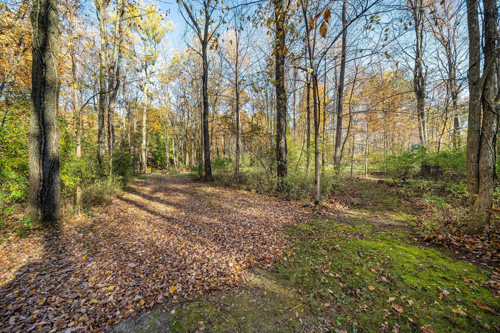 60070 Pemberton Road Property Photo 58