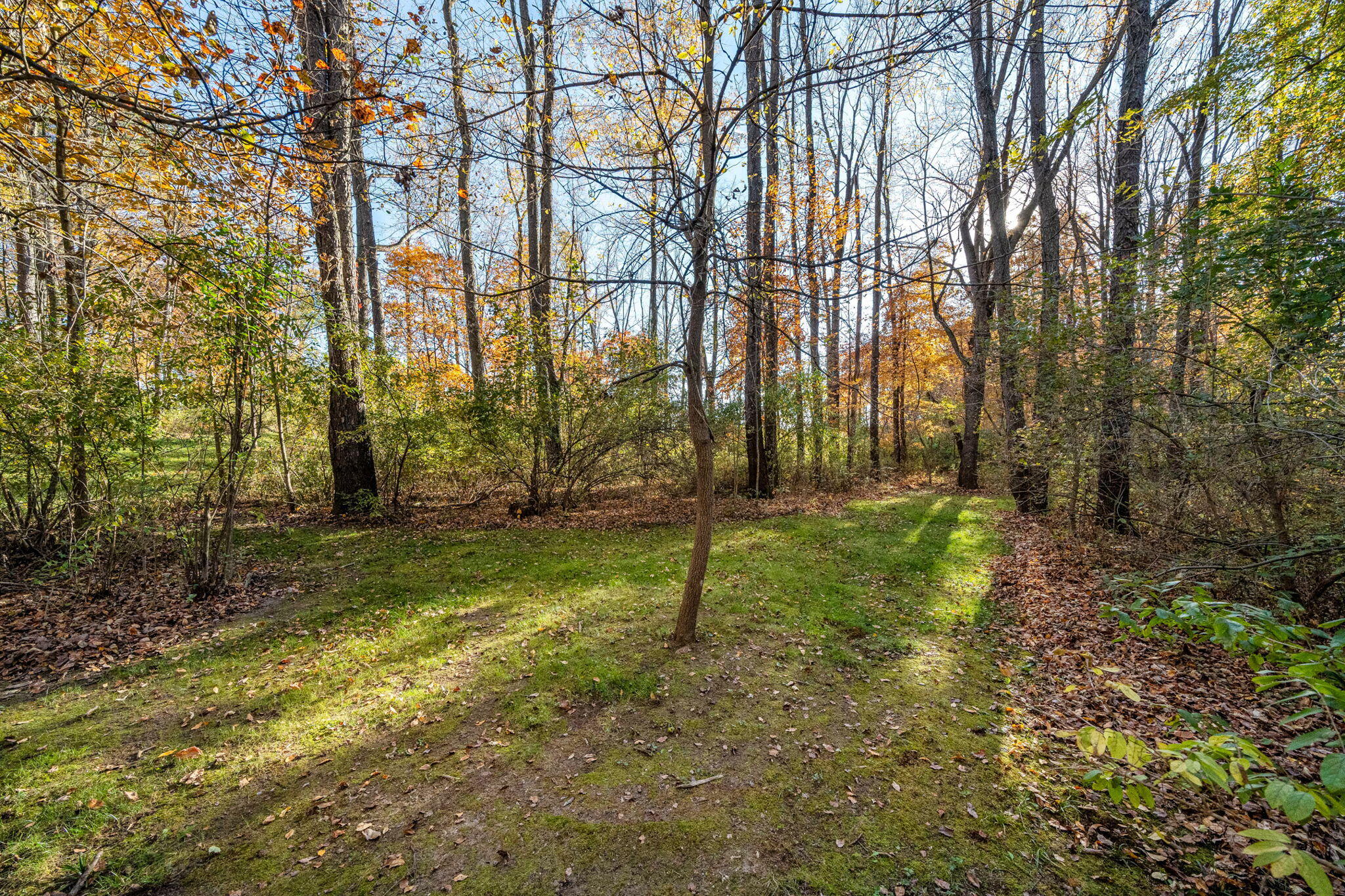 60070 Pemberton Road Property Photo 59