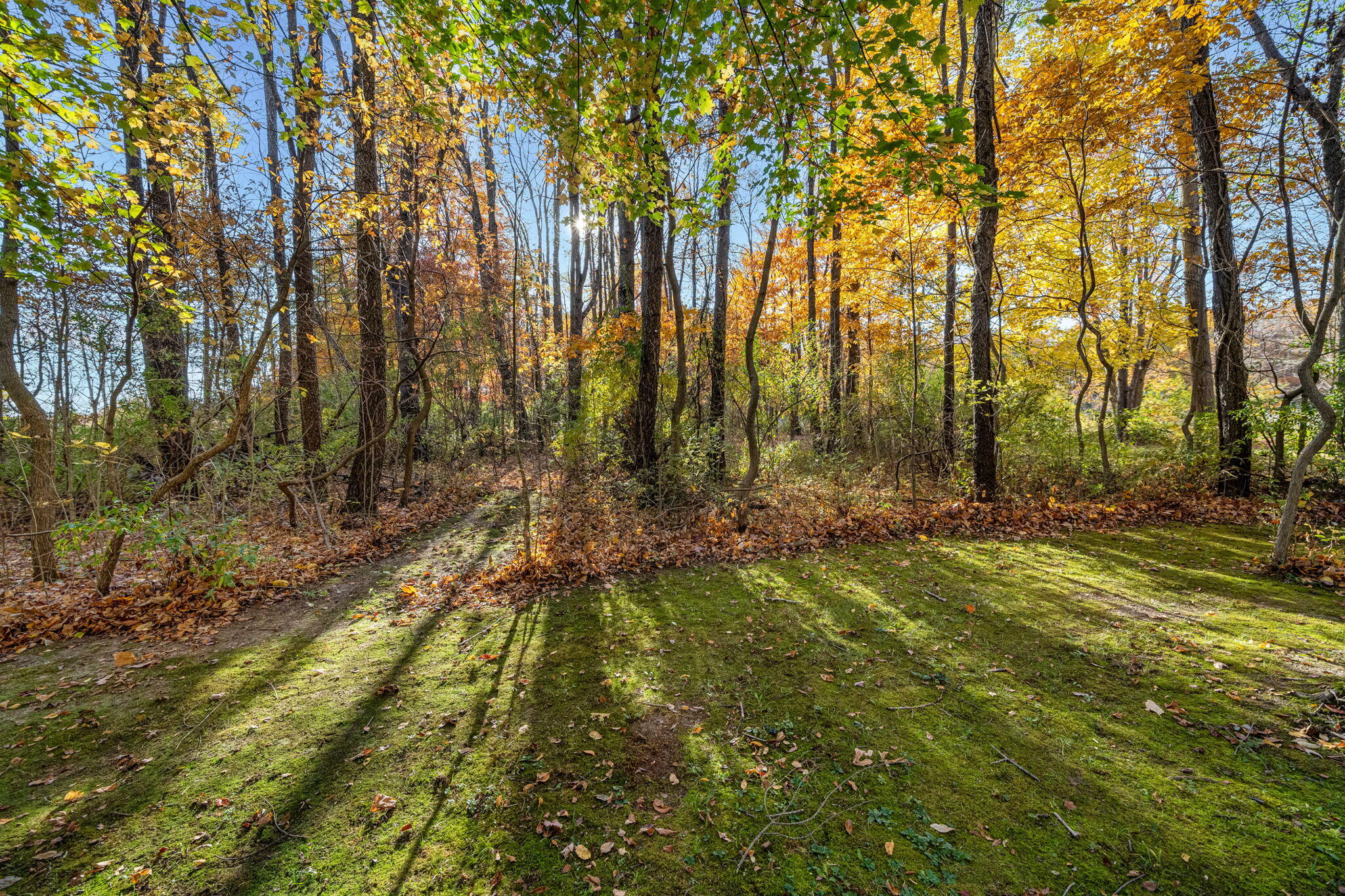60070 Pemberton Road Property Photo 61