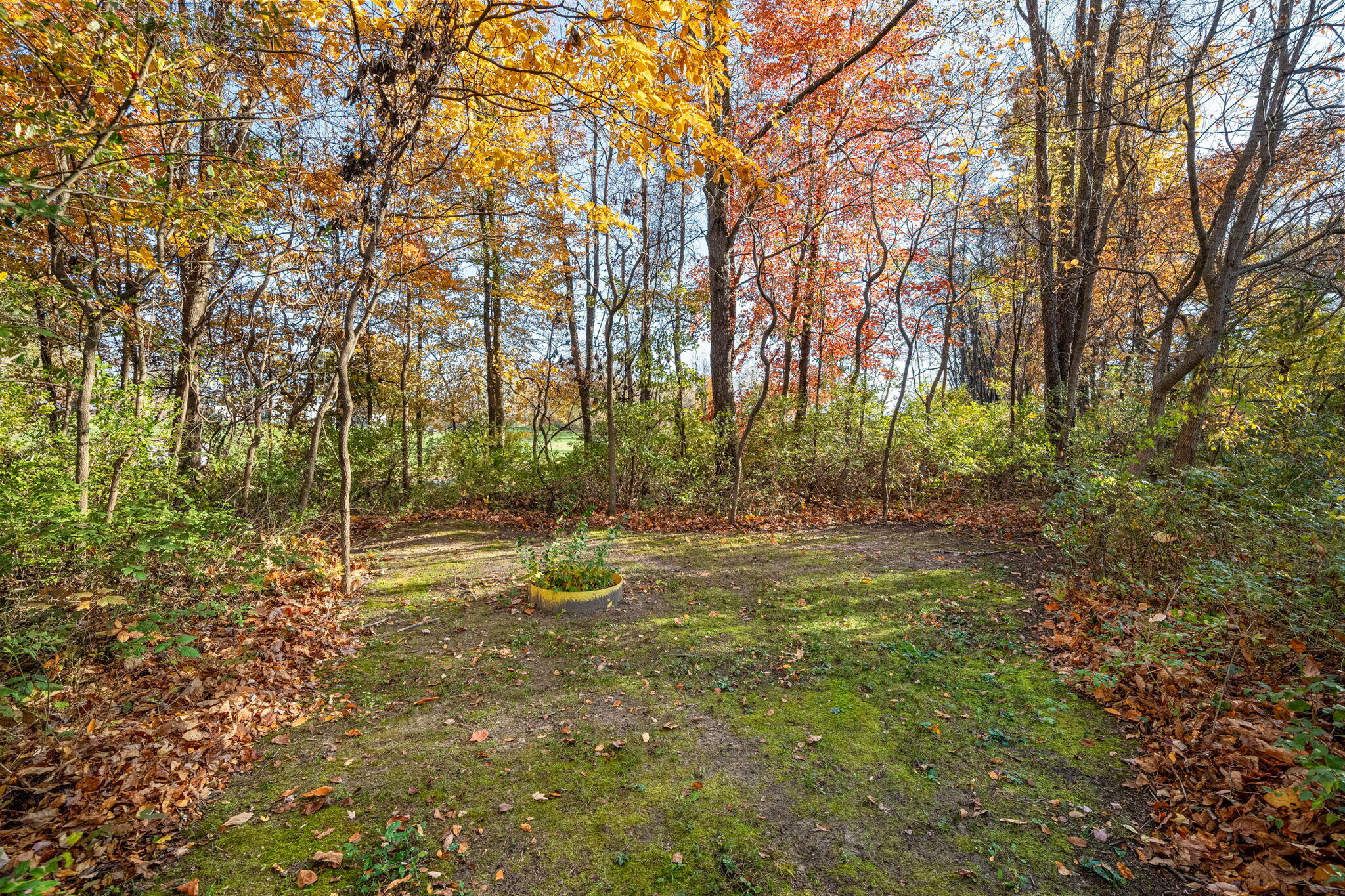 60070 Pemberton Road Property Photo 64