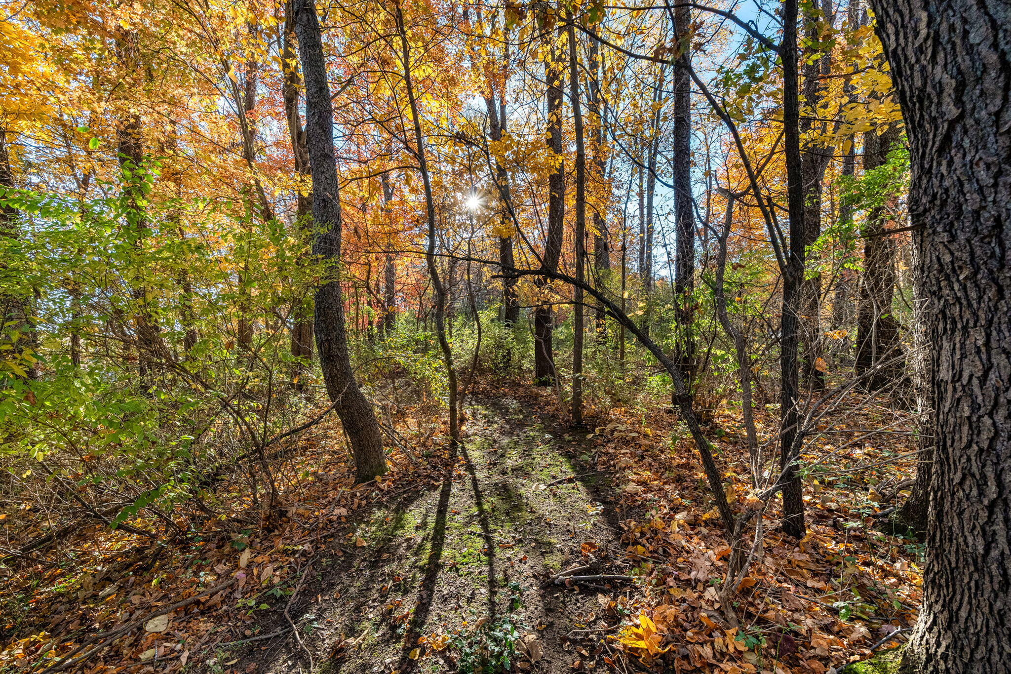 60070 Pemberton Road Property Photo 66
