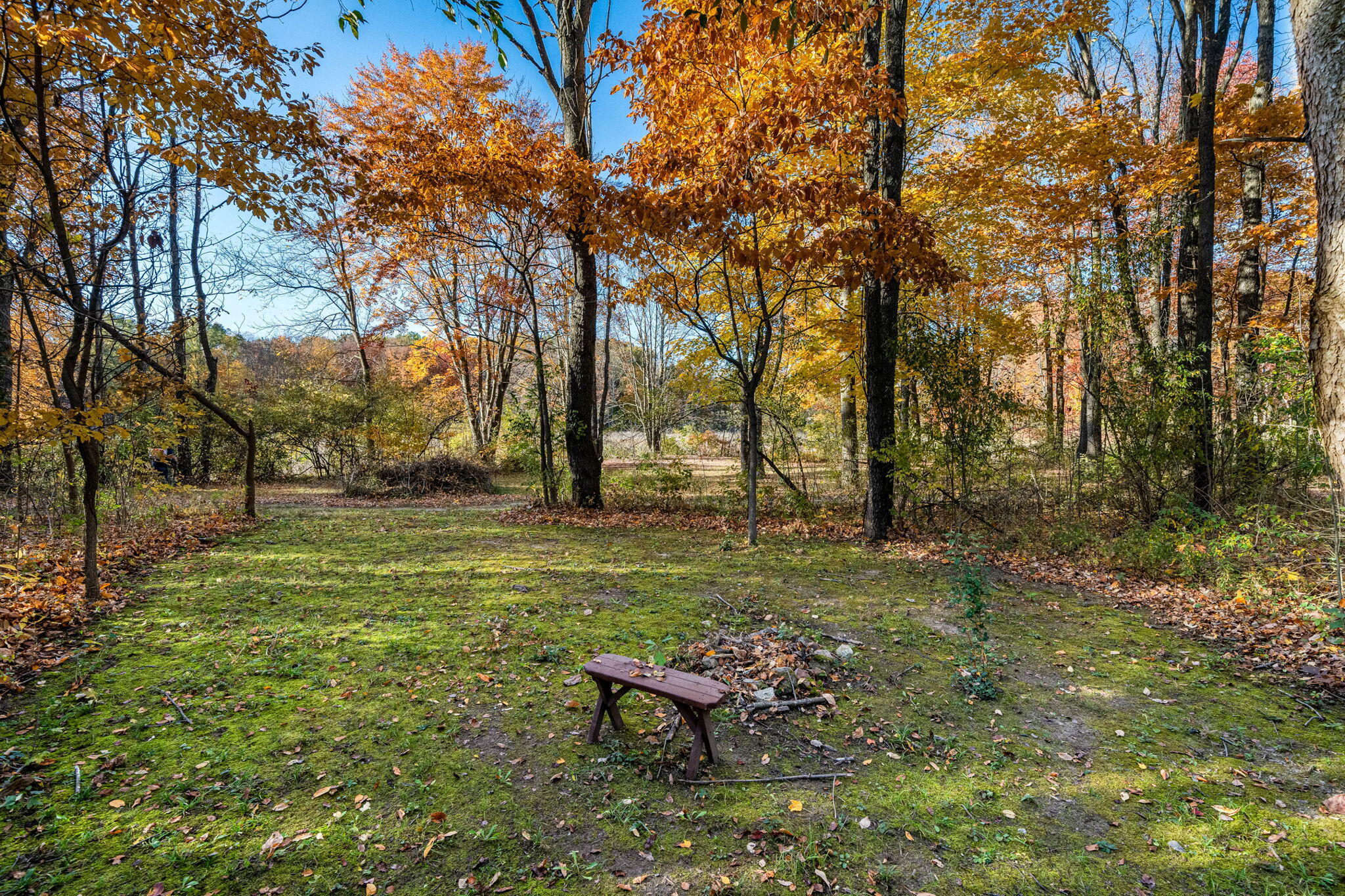 60070 Pemberton Road Property Photo 67