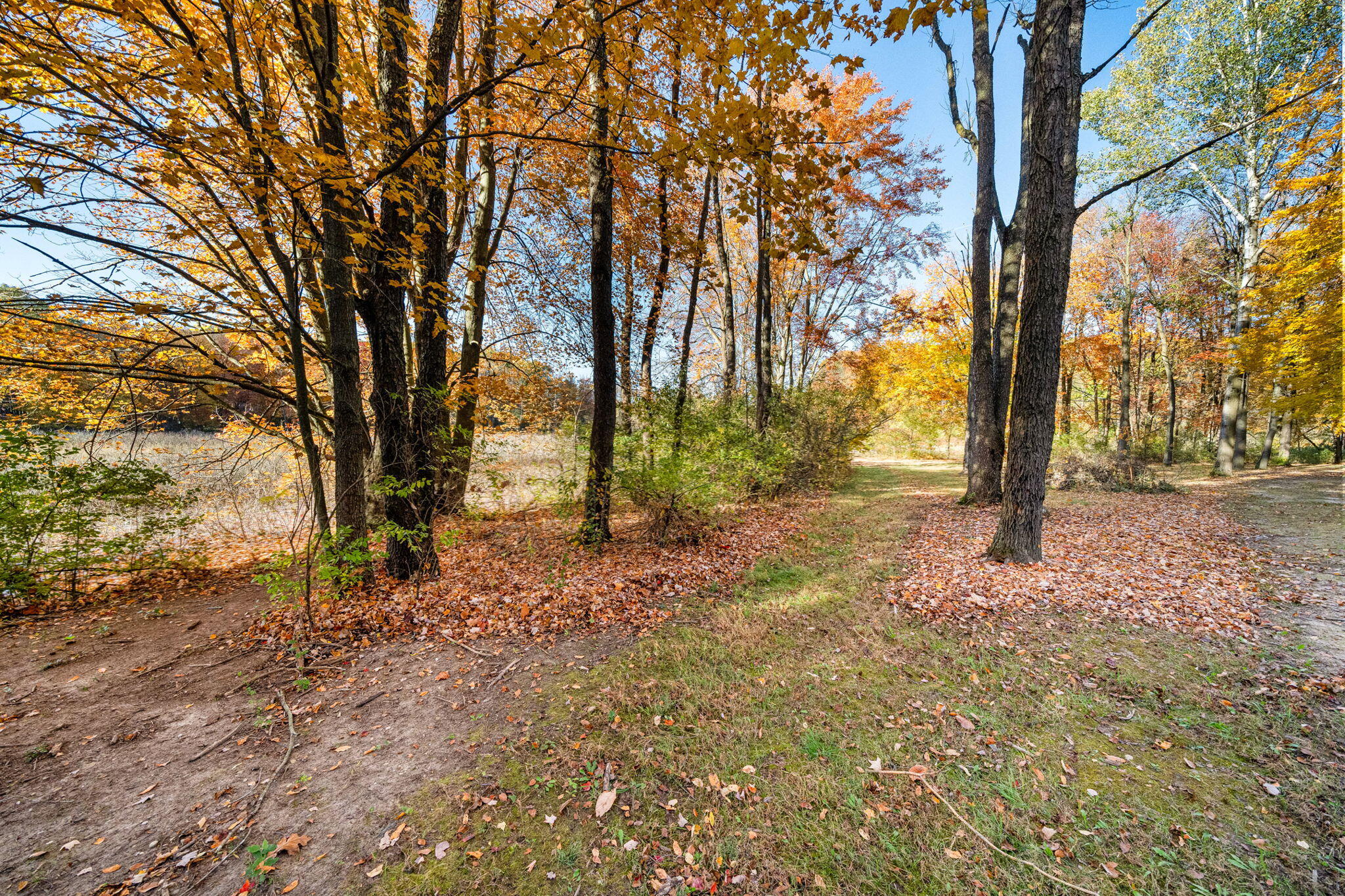 60070 Pemberton Road Property Photo 68