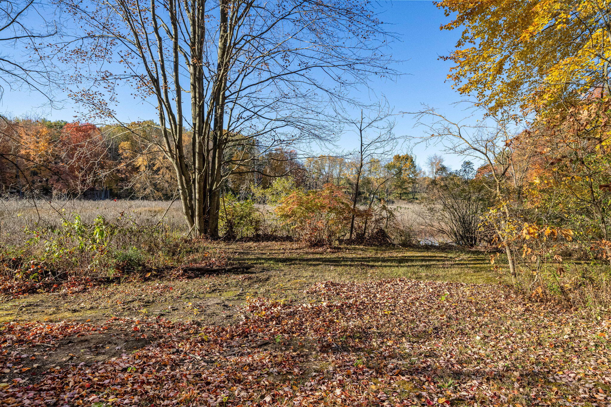 60070 Pemberton Road Property Photo 69