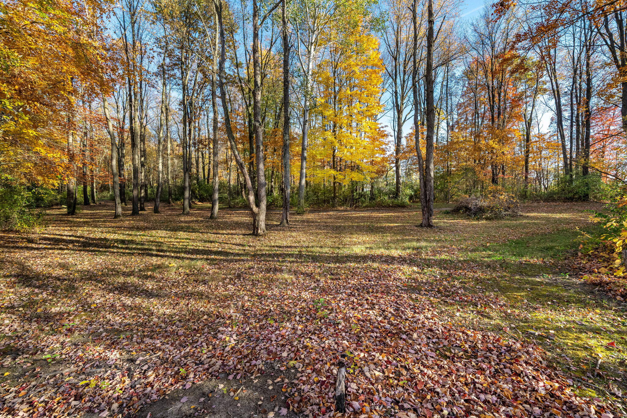 60070 Pemberton Road Property Photo 70
